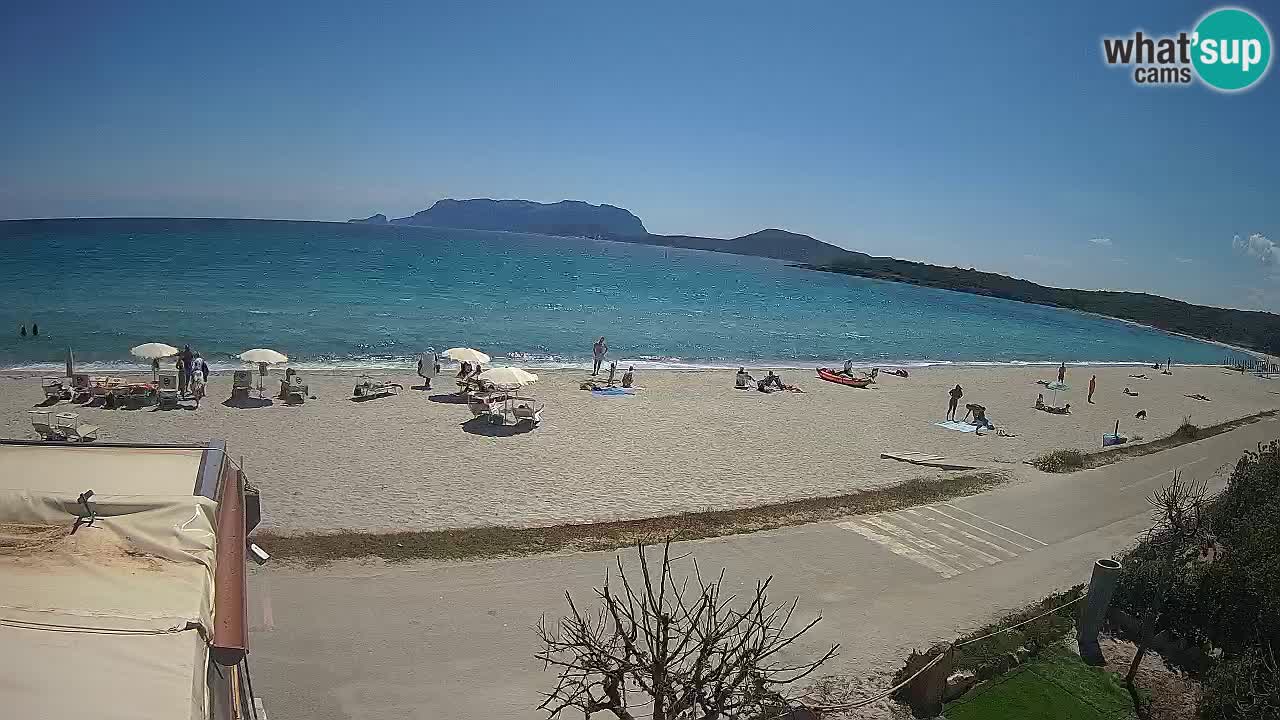 La webcam spiaggia Pittulongu vicino Olbia – Sardegna