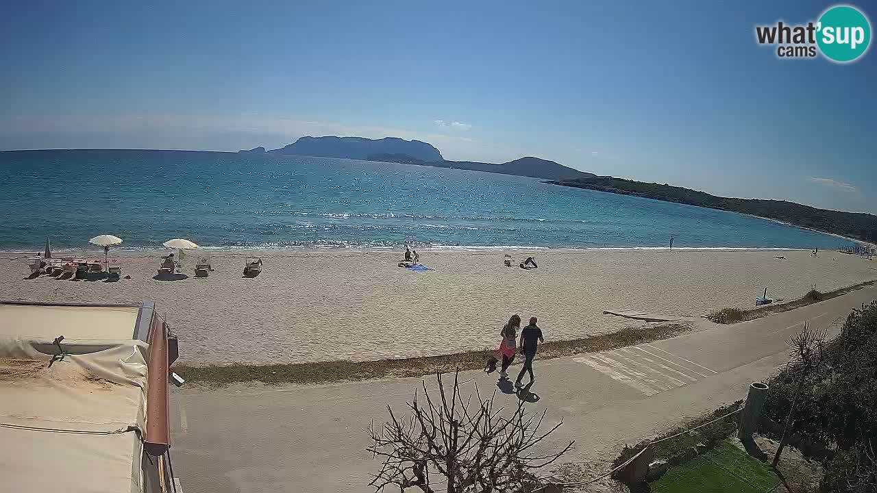 Der Strand von Pittulongu Live-Webcam Olbia – Sardinien – Italien