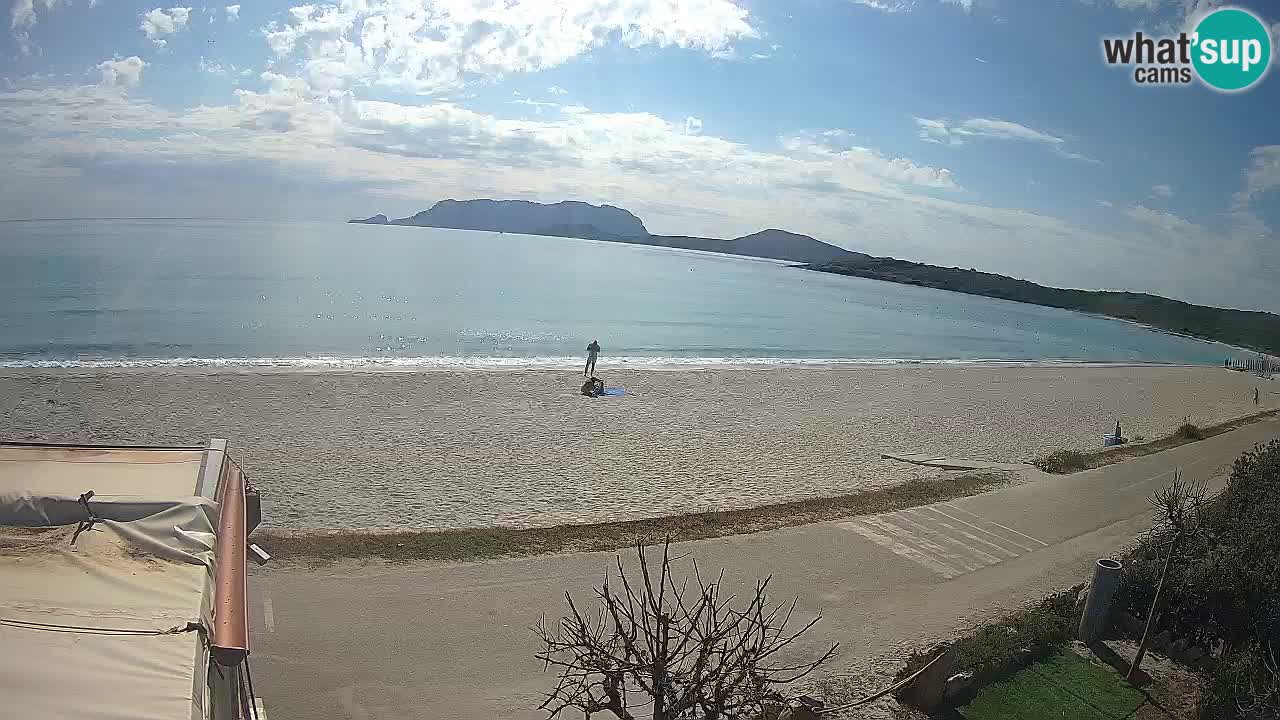 Der Strand von Pittulongu Live-Webcam Olbia – Sardinien – Italien