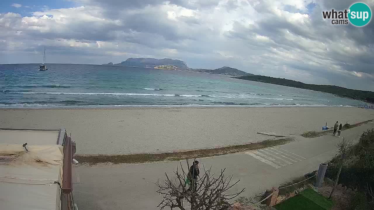 Der Strand von Pittulongu Live-Webcam Olbia – Sardinien – Italien