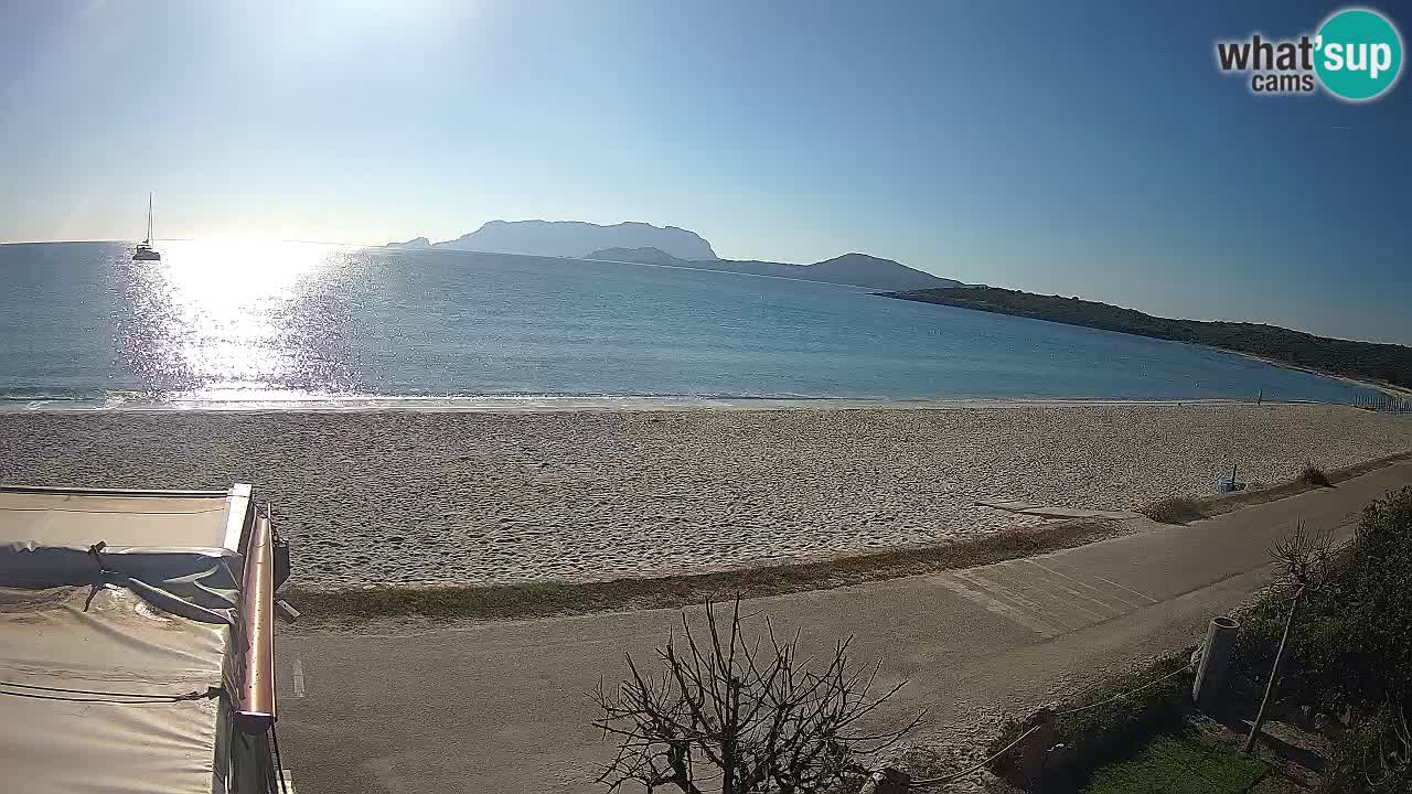 Plaža Pittulongu spletna kamera v živo Olbia – Sardinija – Italija