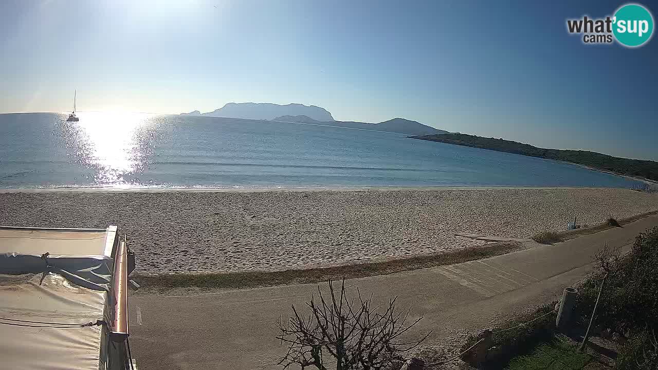 Der Strand von Pittulongu Live-Webcam Olbia – Sardinien – Italien
