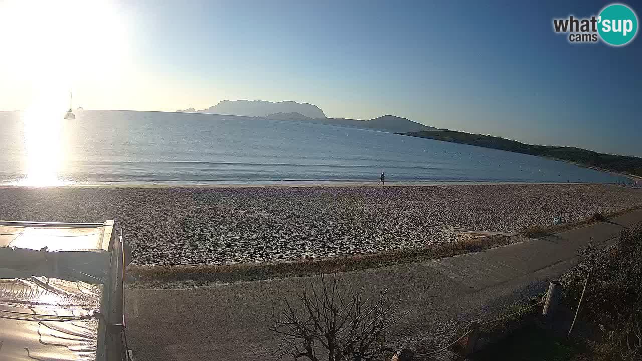 La plage de Pittulongu en direct webcam Olbia – Sardaigne – Italie