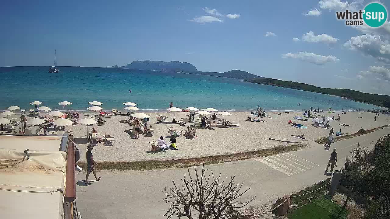 The beach of Pittulongu live webcam Olbia – Sardinia – Italy