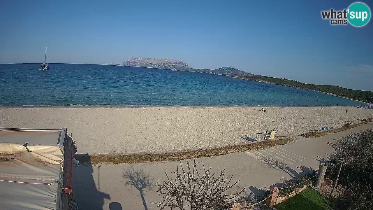 Plaža Pittulongu spletna kamera v živo Olbia – Sardinija – Italija