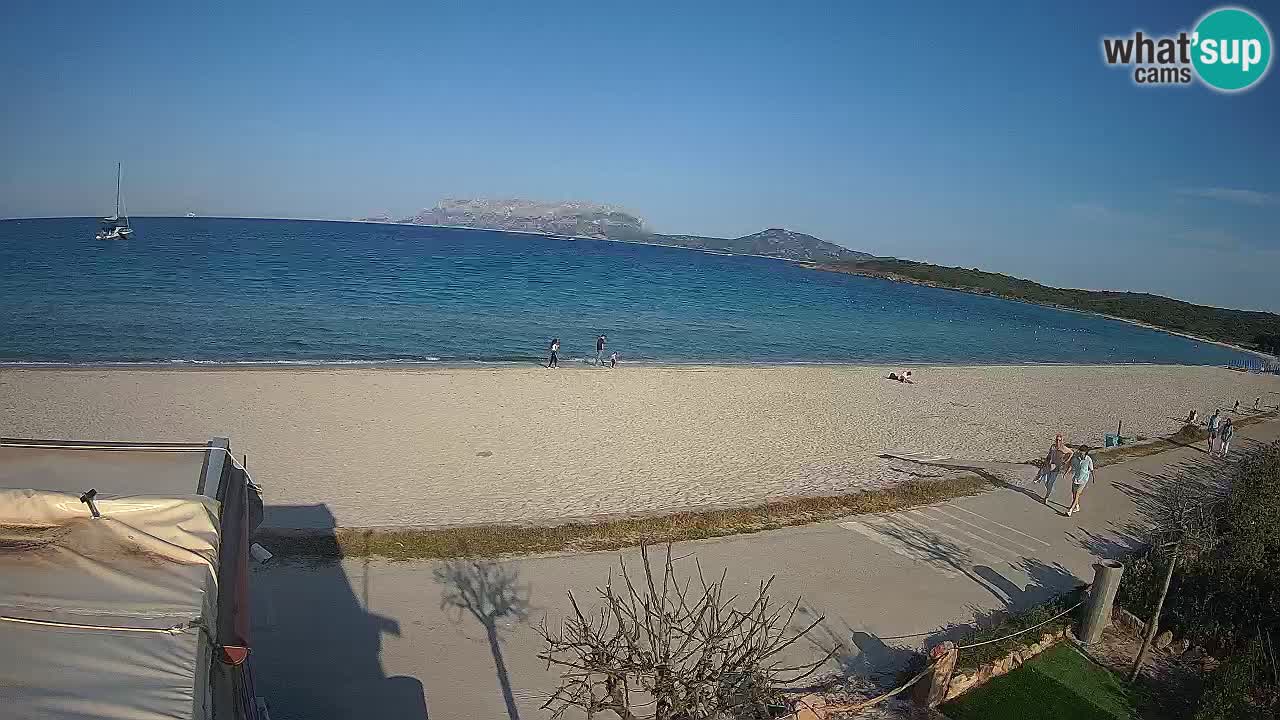 Plaža Pittulongu spletna kamera v živo Olbia – Sardinija – Italija