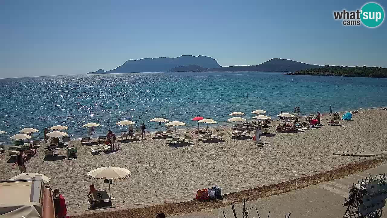 La webcam spiaggia Pittulongu vicino Olbia – Sardegna