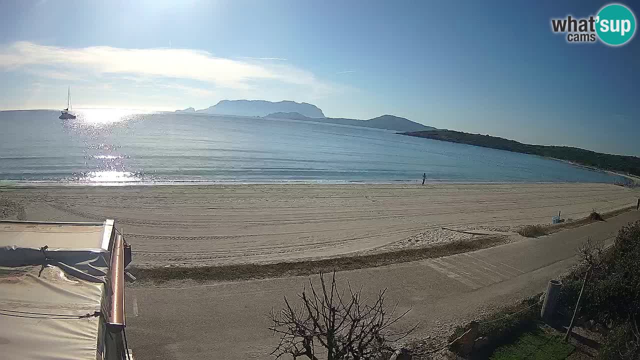 Plaža Pittulongu spletna kamera v živo Olbia – Sardinija – Italija