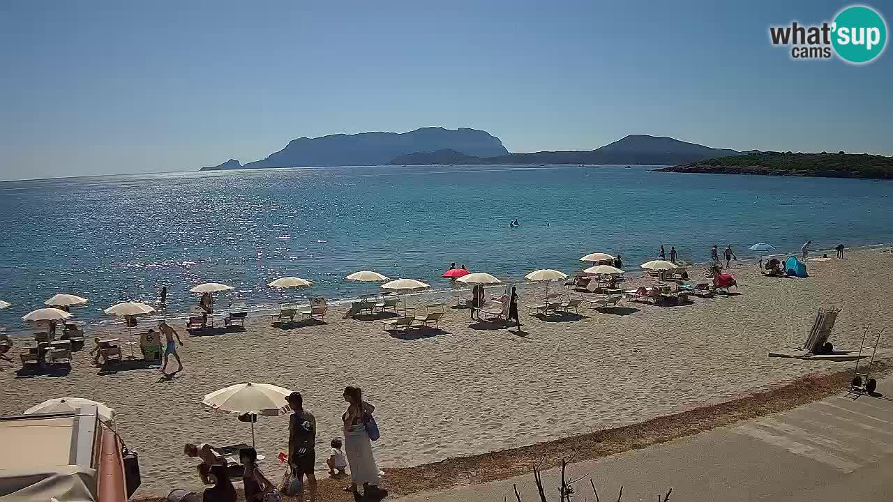 Plaža Pittulongu uživo web kamera Olbia – Sardinija – Italija
