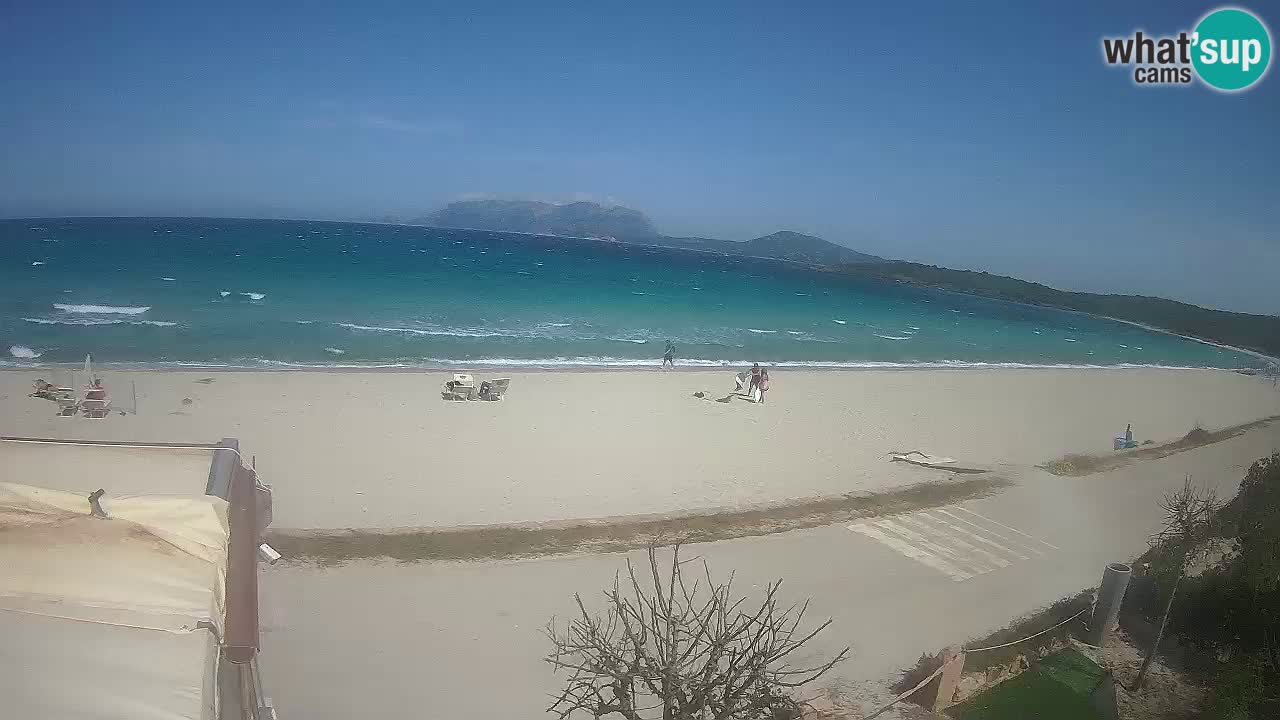 La playa de Pittulongu webcam en vivo Olbia – Cerdeña – Italia