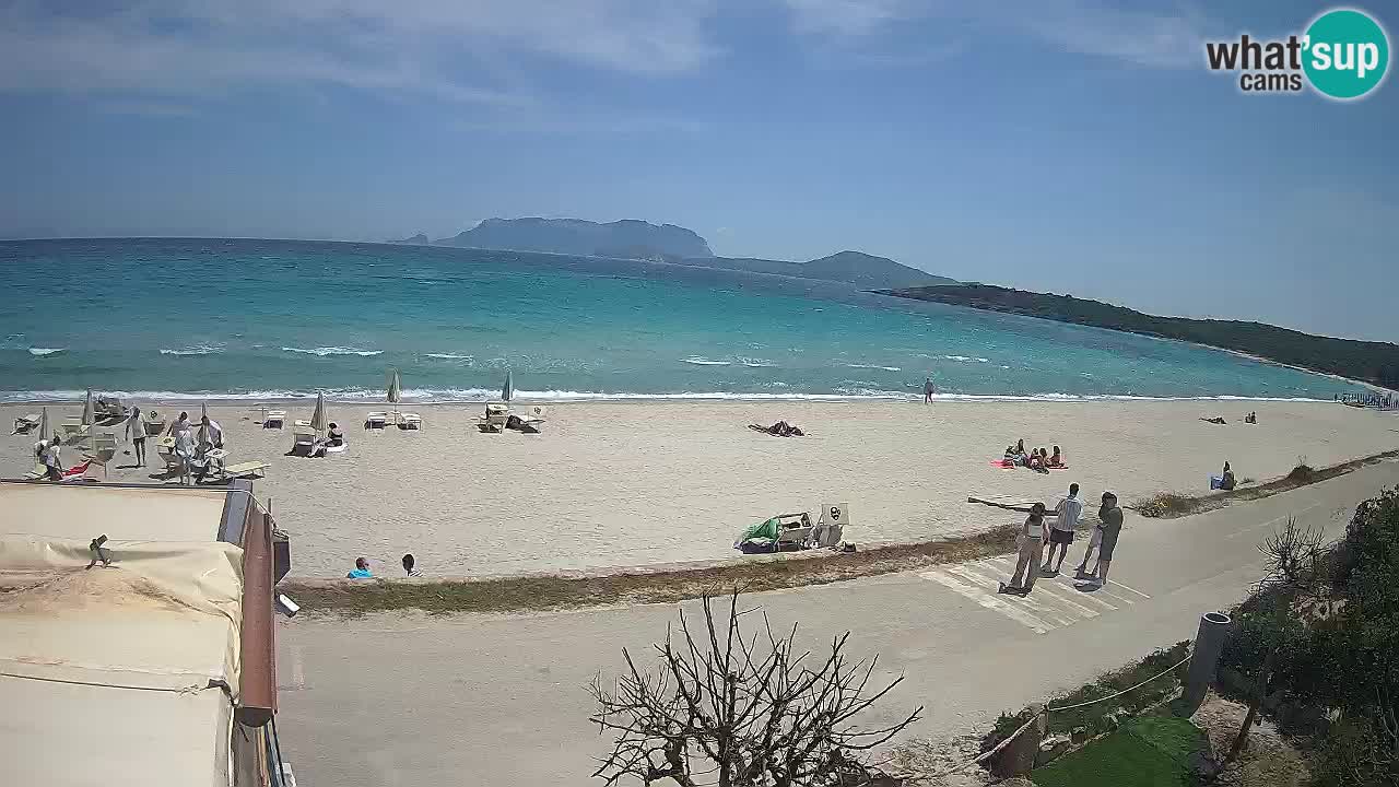 Plaža Pittulongu spletna kamera v živo Olbia – Sardinija – Italija