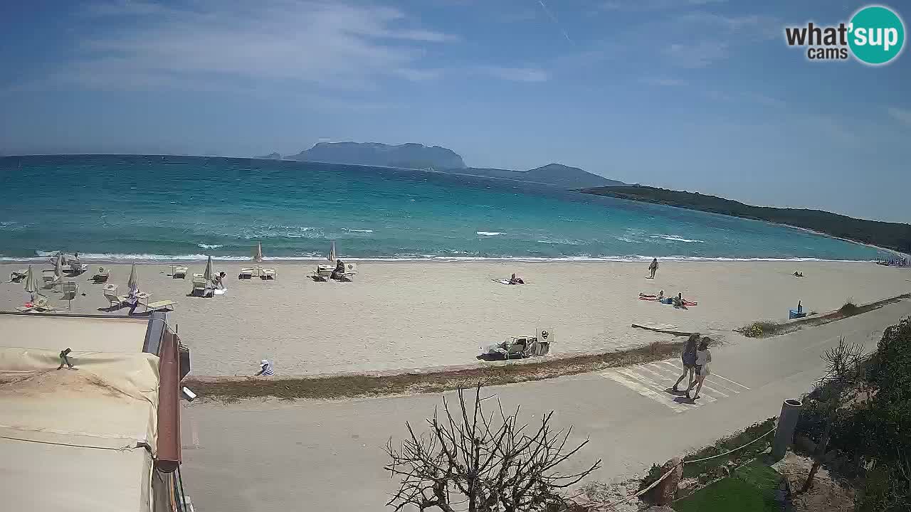 La plage de Pittulongu en direct webcam Olbia – Sardaigne – Italie