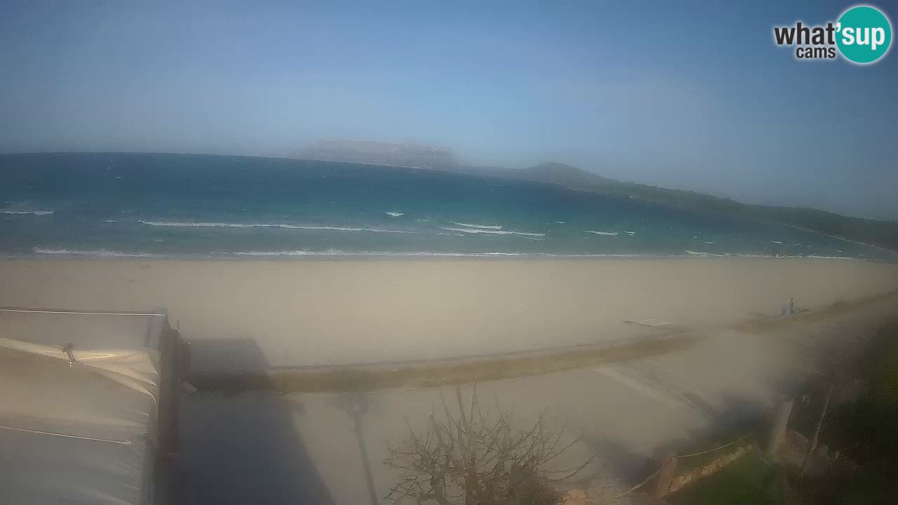 Plaža Pittulongu spletna kamera v živo Olbia – Sardinija – Italija