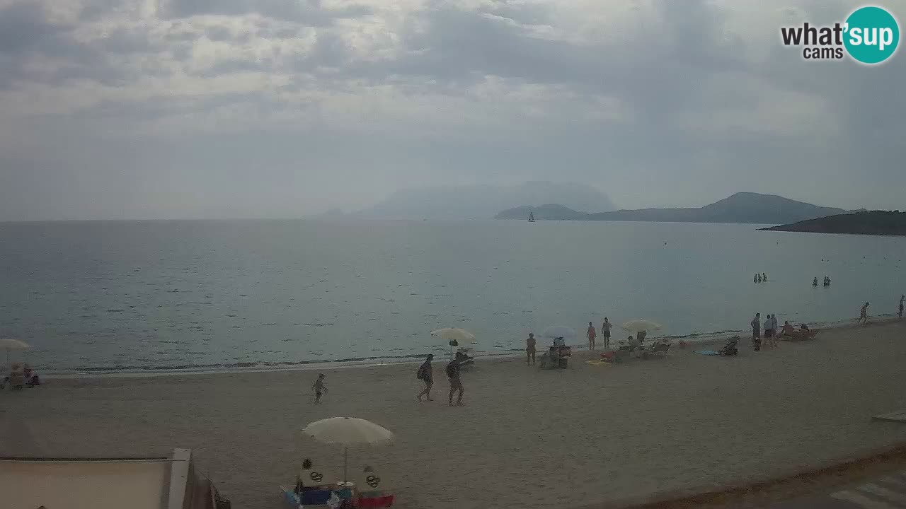 The beach of Pittulongu live webcam Olbia – Sardinia – Italy