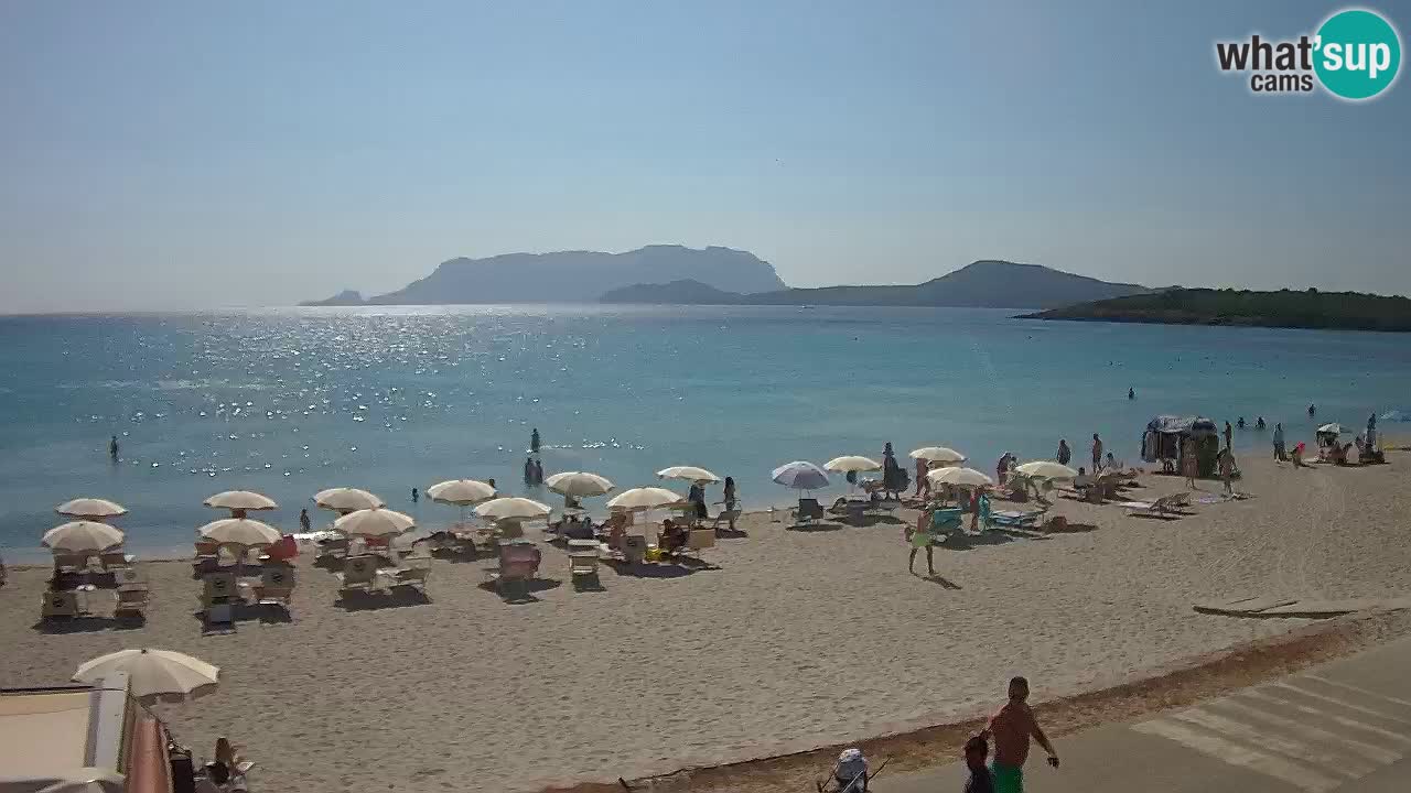 The beach of Pittulongu live webcam Olbia – Sardinia – Italy