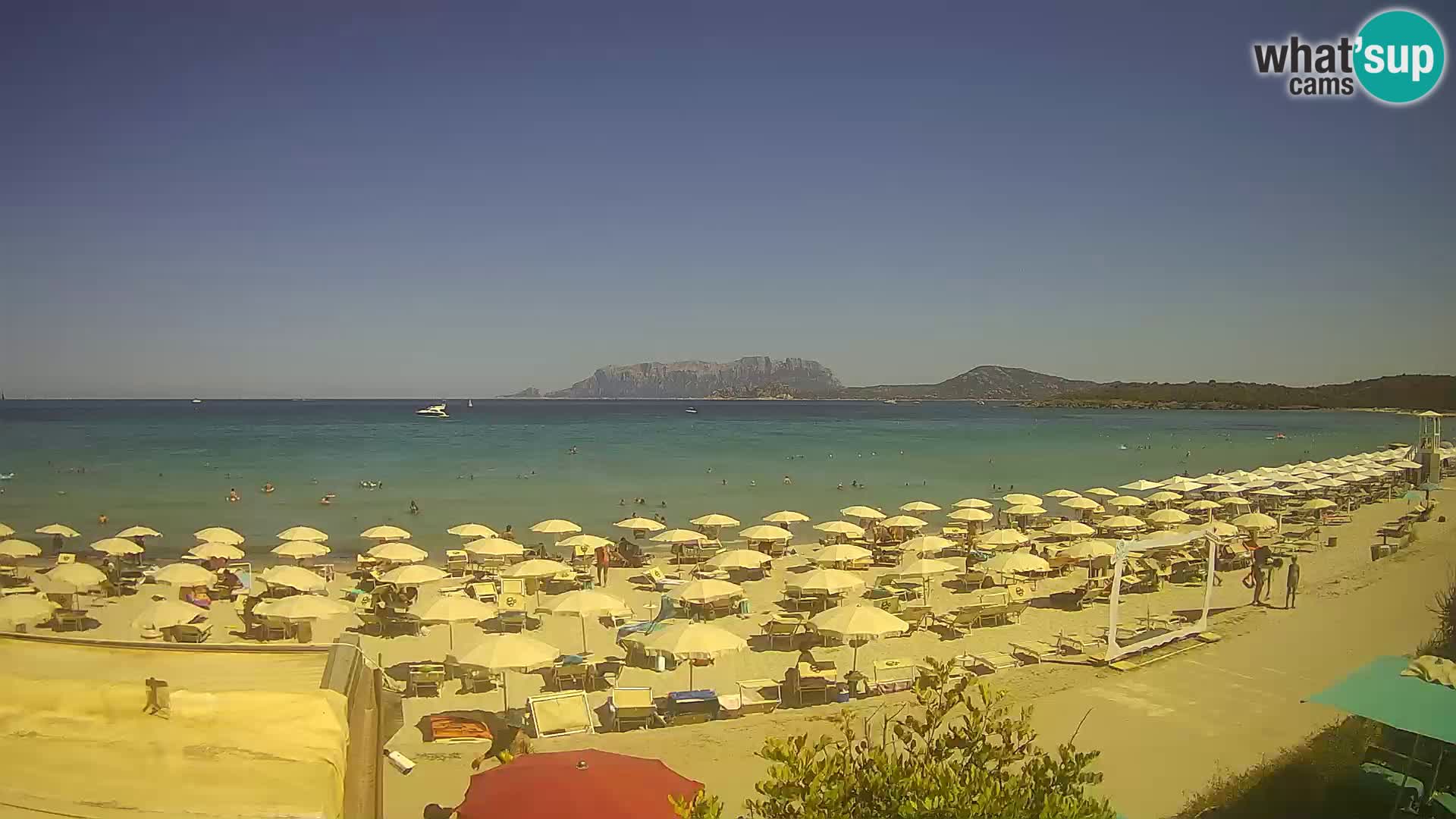 The beach of Pittulongu live webcam Olbia – Sardinia – Italy