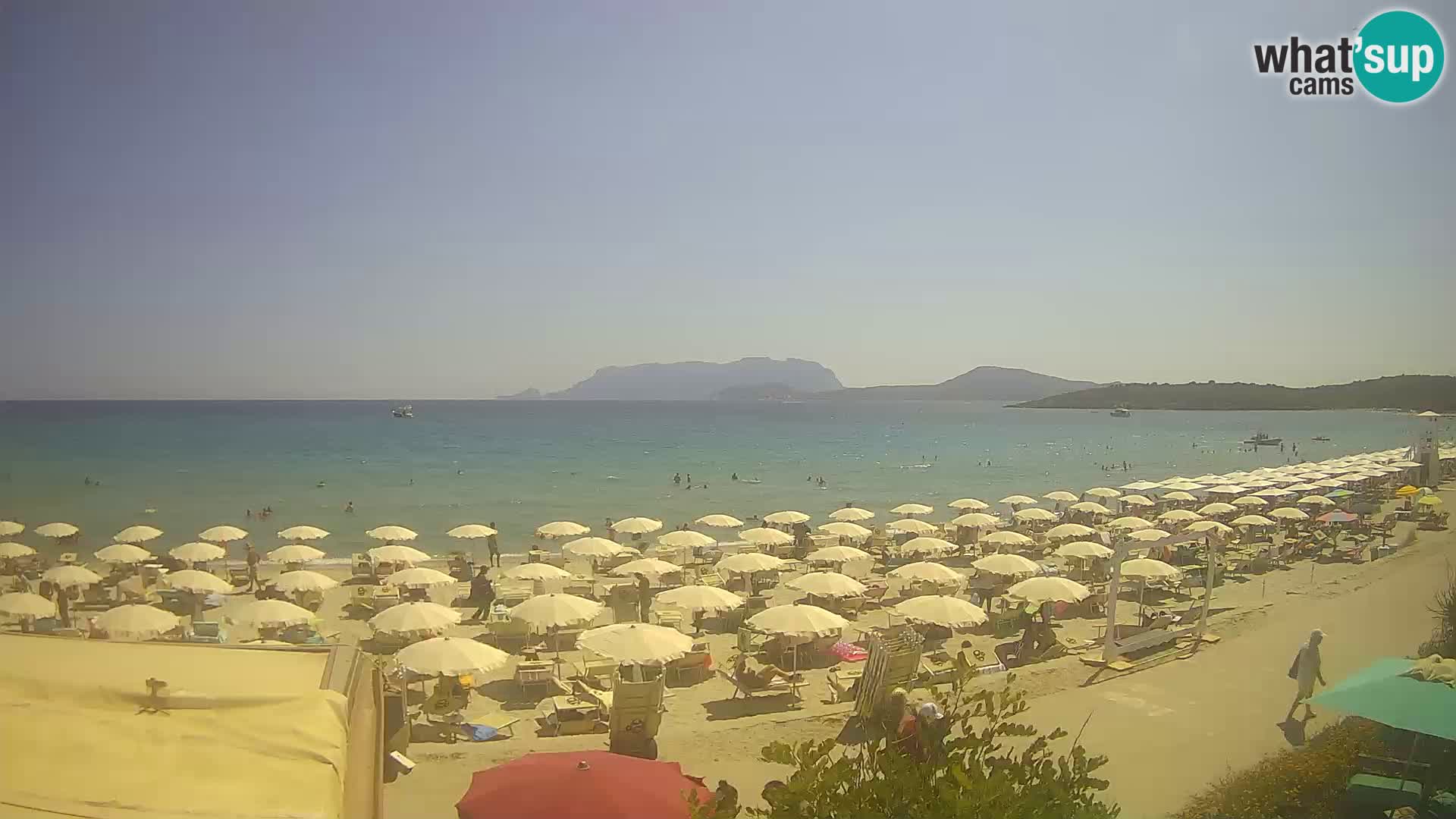 Der Strand von Pittulongu Live-Webcam Olbia – Sardinien – Italien