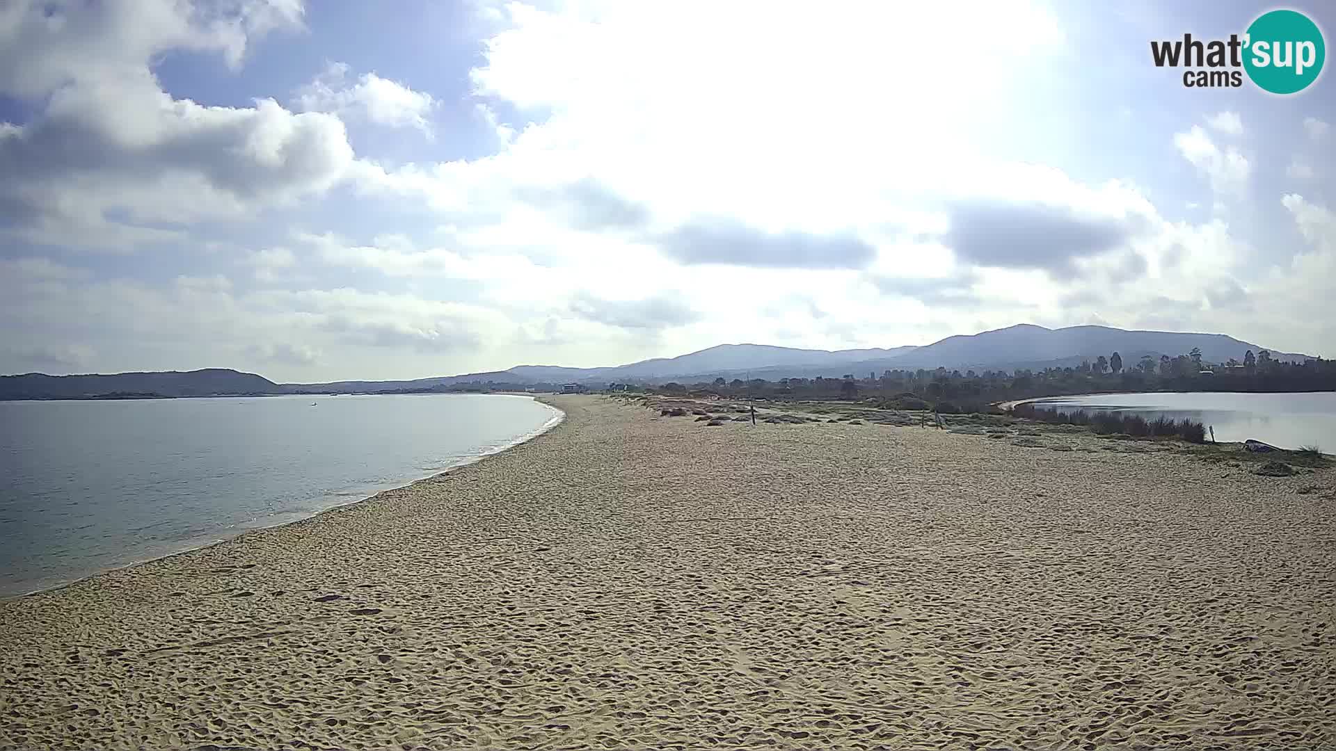 Olbia camera en vivo playa Le Saline – Cerdeña – Italia