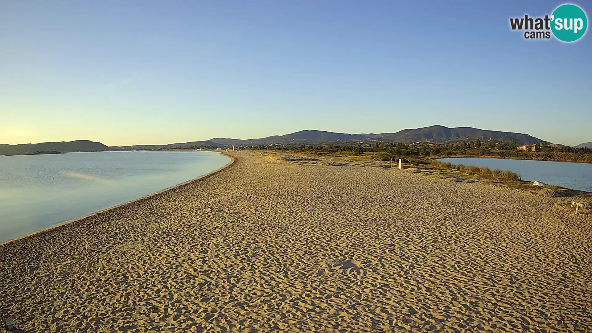 Olbia live webcam Le Saline beach – Sardinia