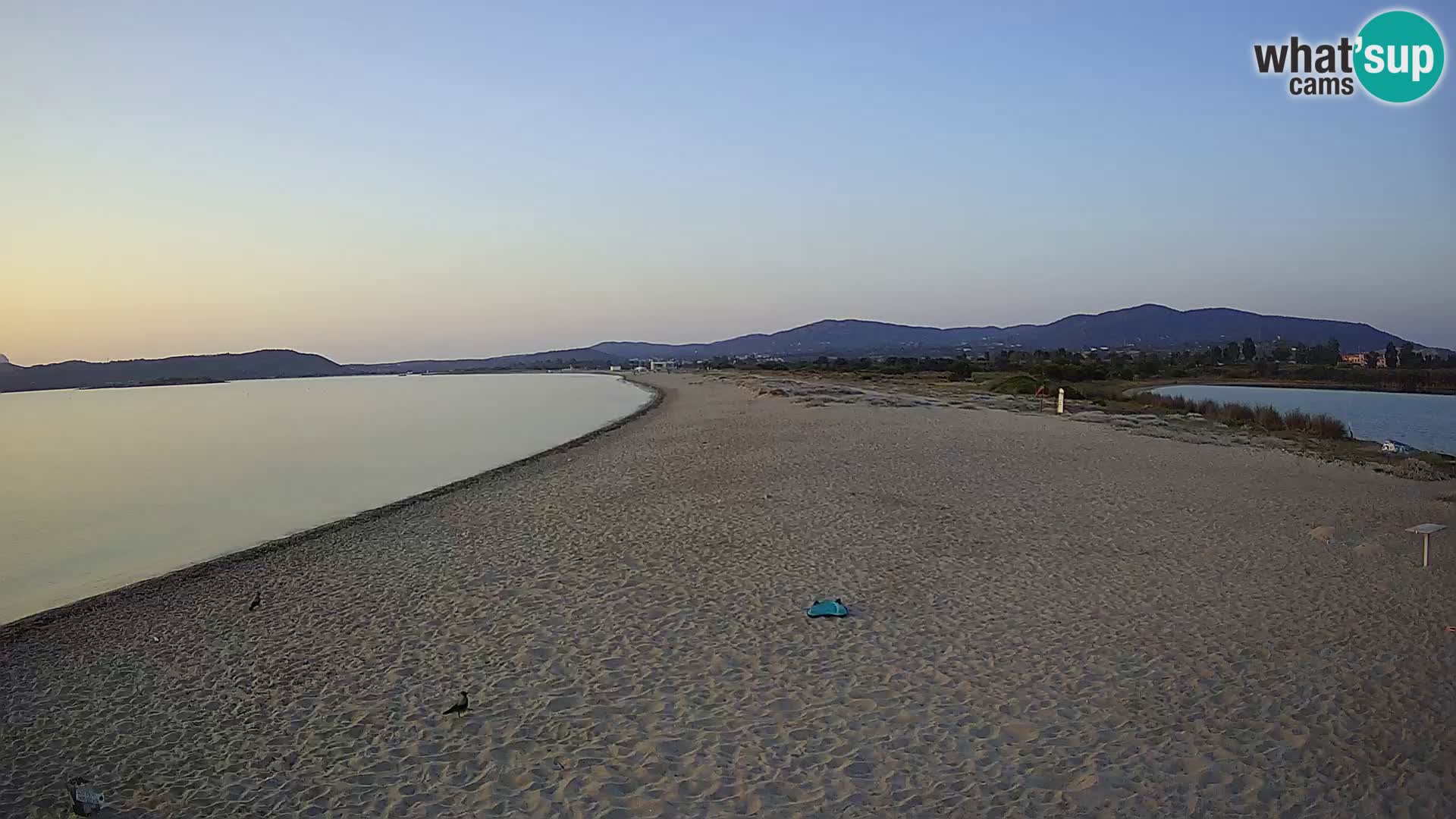 Olbia camera en vivo playa Le Saline – Cerdeña – Italia