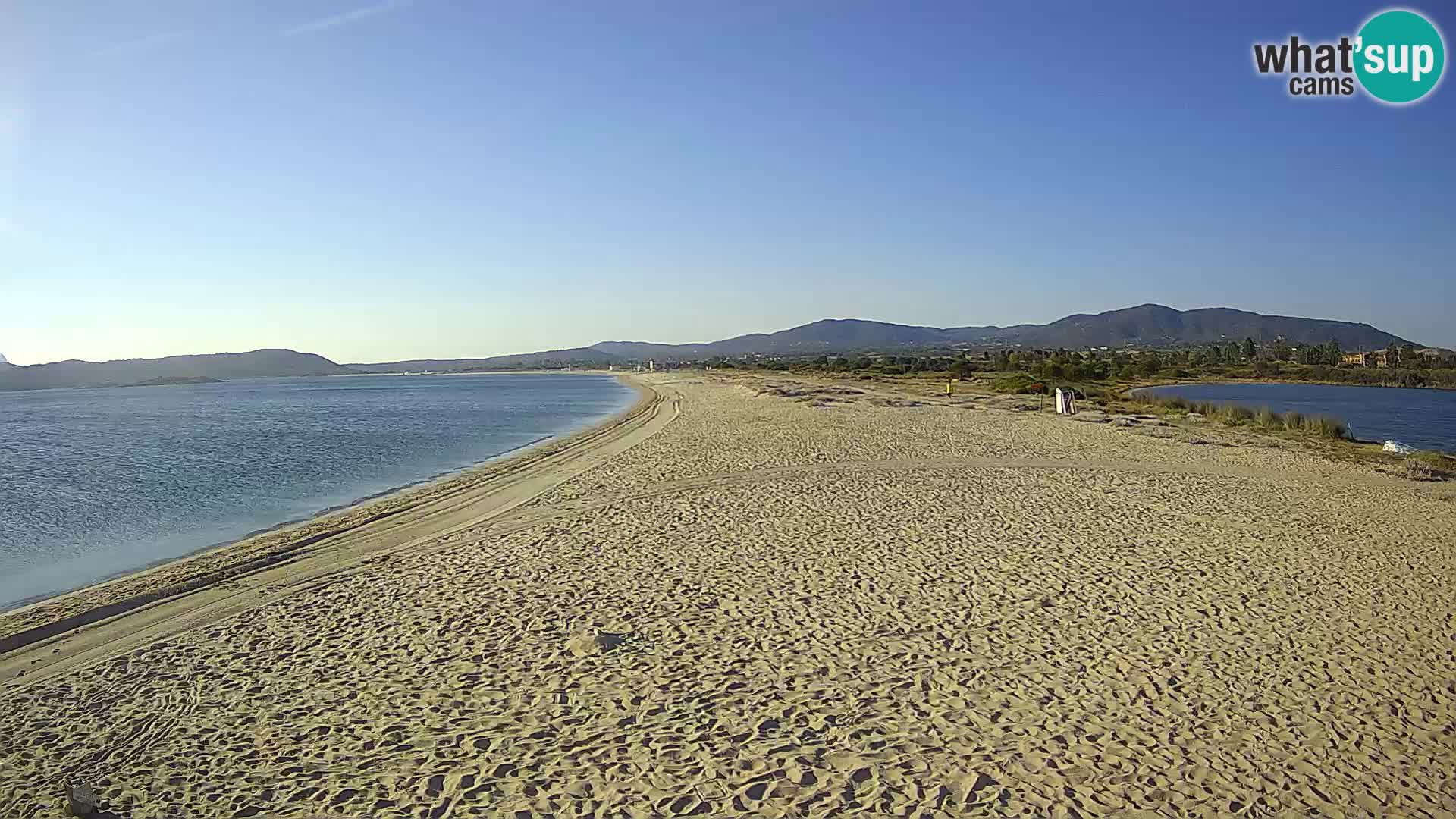 Olbia live webcam Le Saline beach – Sardinia