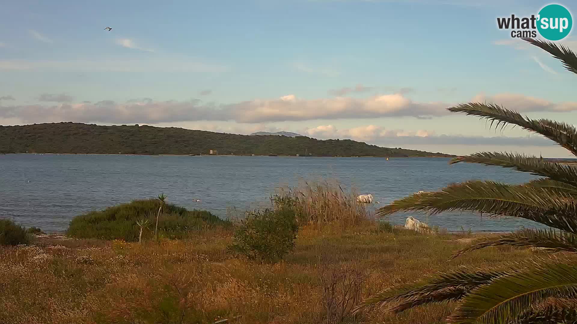 Webcam port d’Olbia – entrée du port d’Olbia