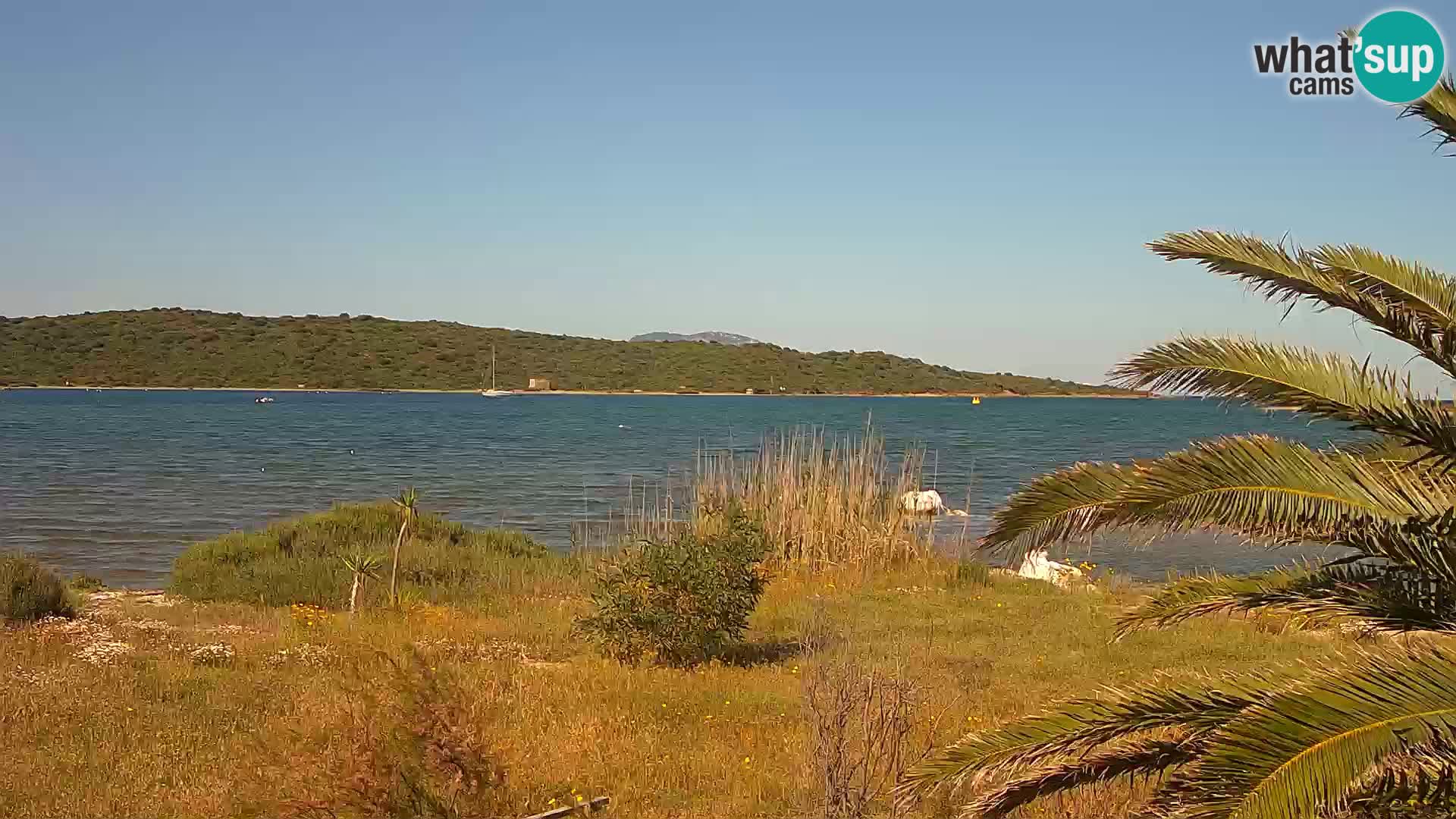 Camera web puerto de Olbia – entrada al puerto de Olbia