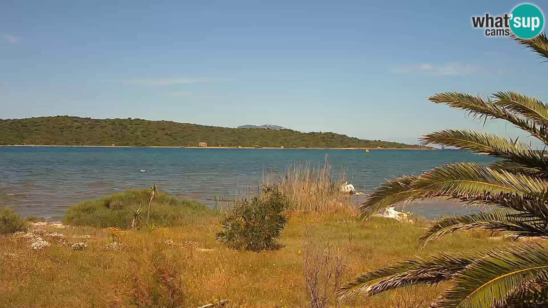 Webcam Olbia port – entrance to the port of Olbia
