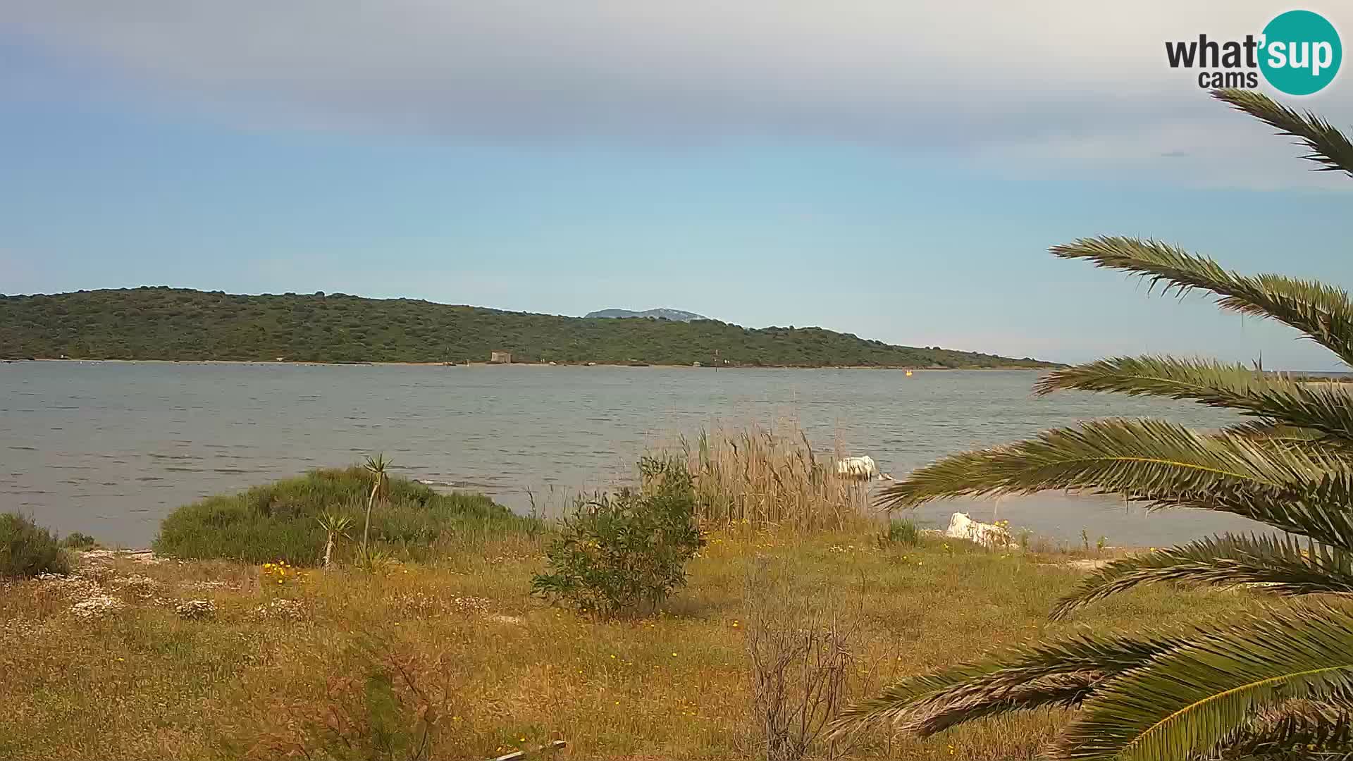 Webcam Olbia port – entrance to the port of Olbia