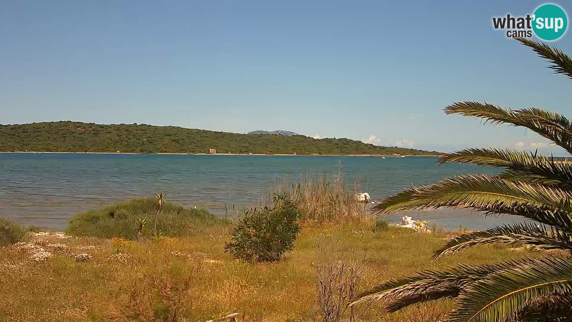 Web kamera Olbia luka – ulaz u luku Olbia