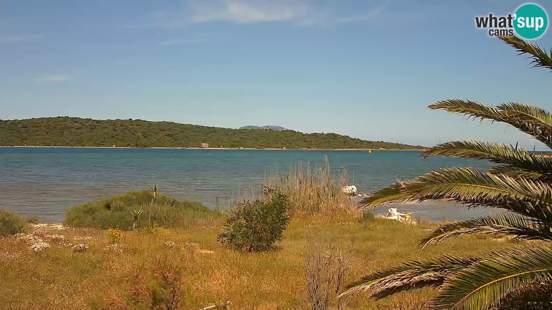Webcam Hafen Olbia – Eingang zum Hafen von Olbia