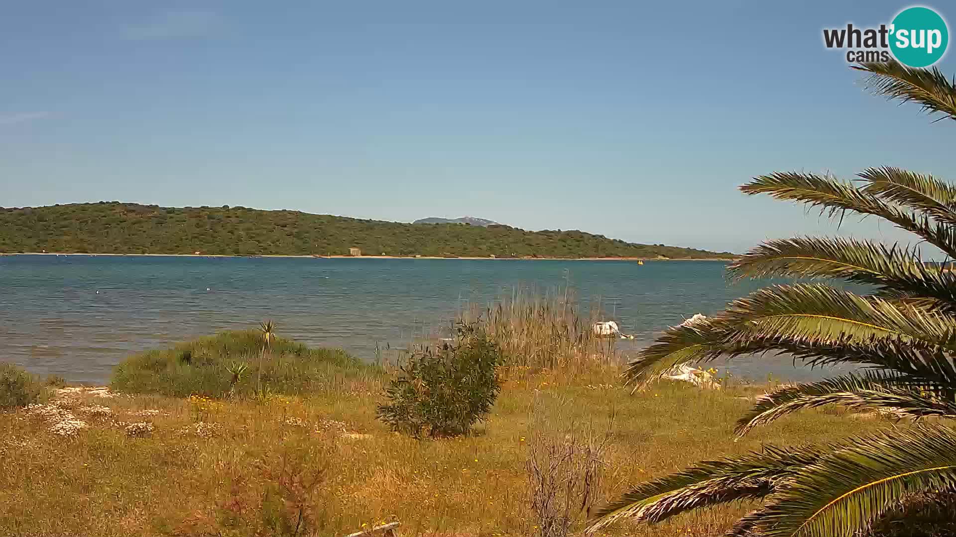 Spletna kamera pristanišče Olbia – vhod v pristanišče Olbia