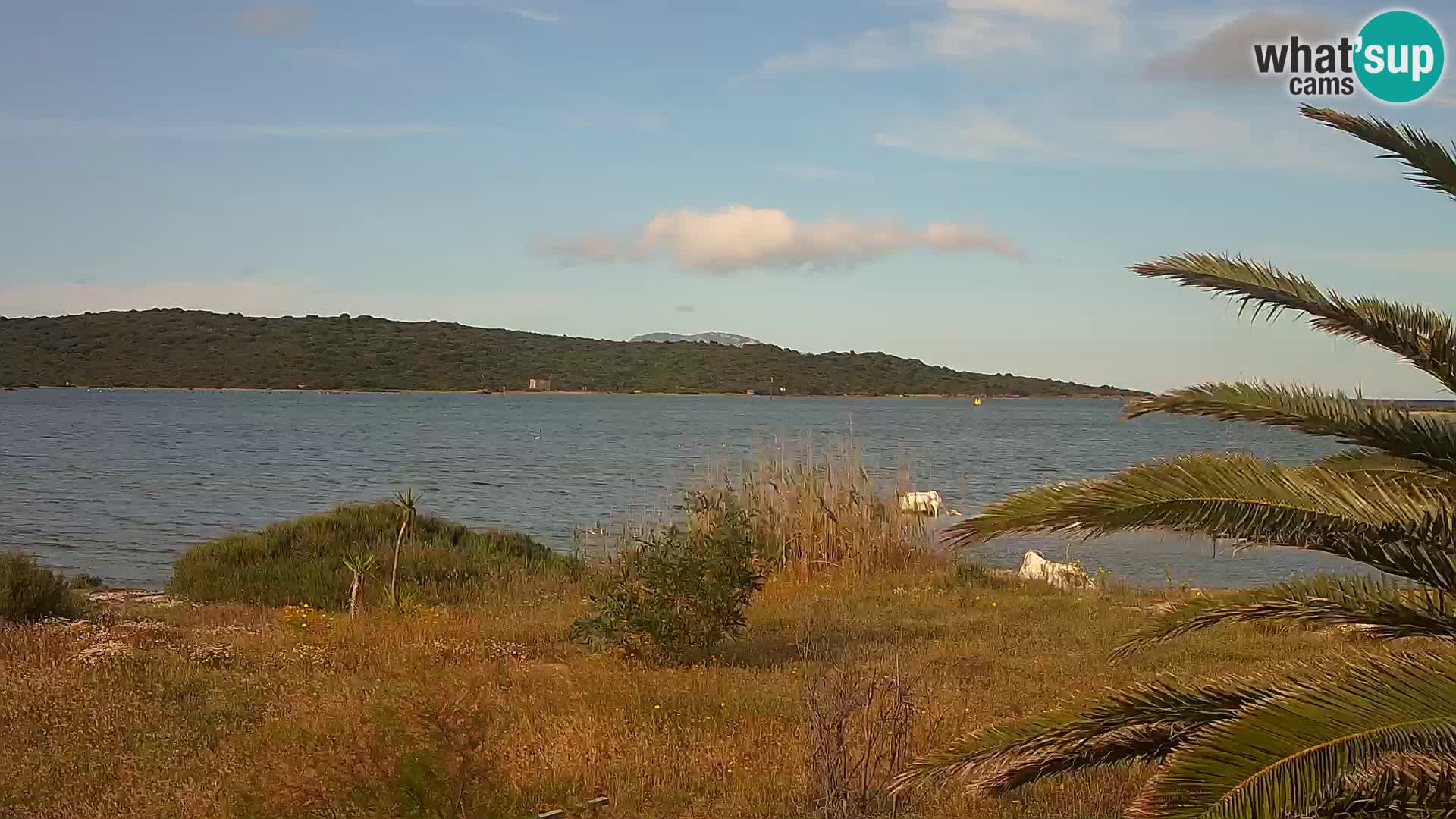 Webcam Hafen Olbia – Eingang zum Hafen von Olbia