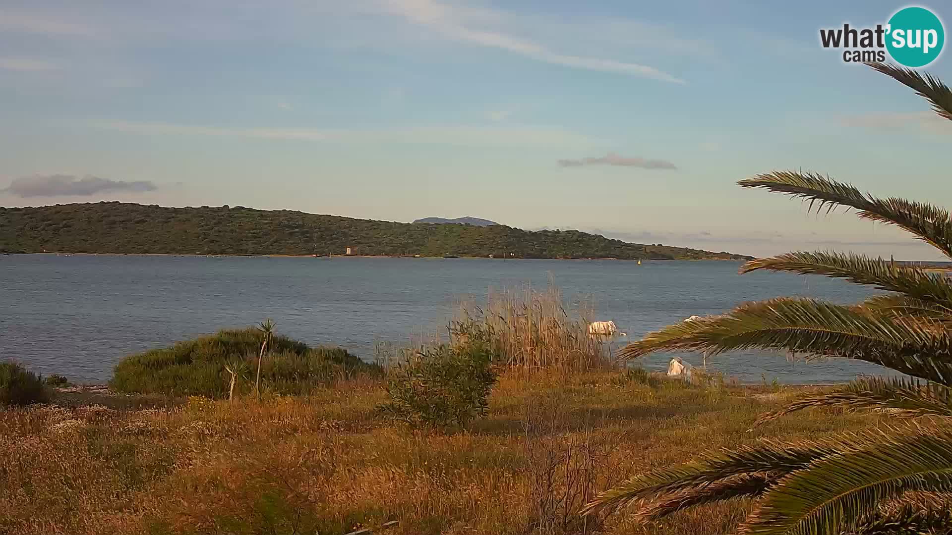 Webcam Hafen Olbia – Eingang zum Hafen von Olbia