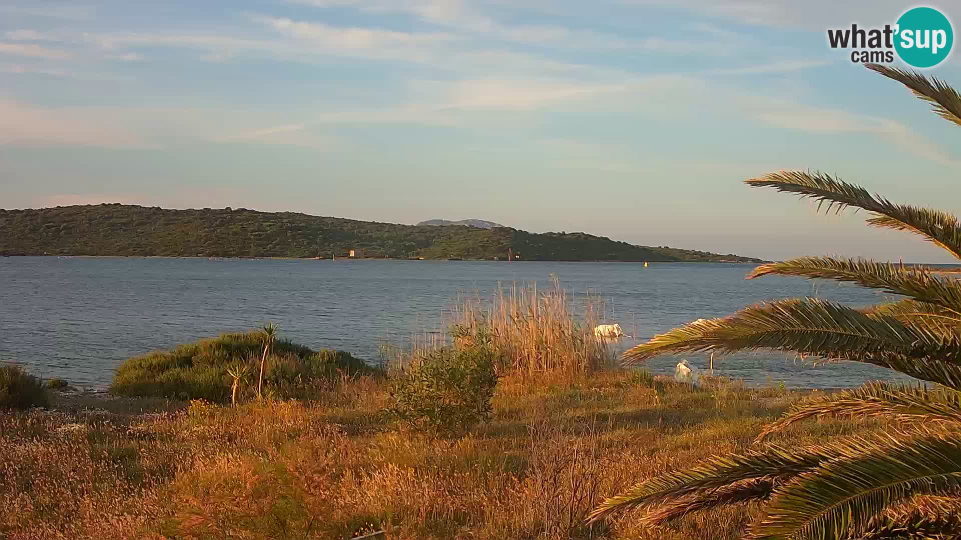 Webcam port d’Olbia – entrée du port d’Olbia