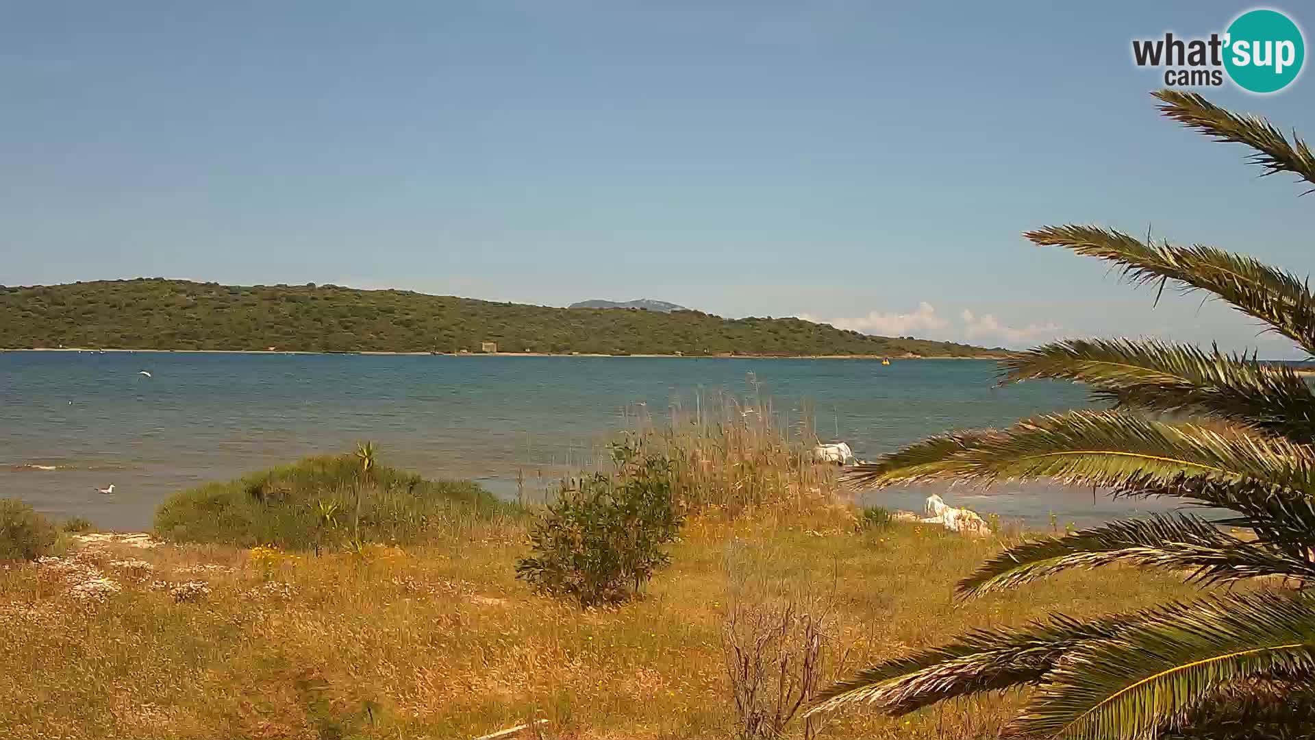Webcam porto di Olbia – entrata nel porto di Olbia