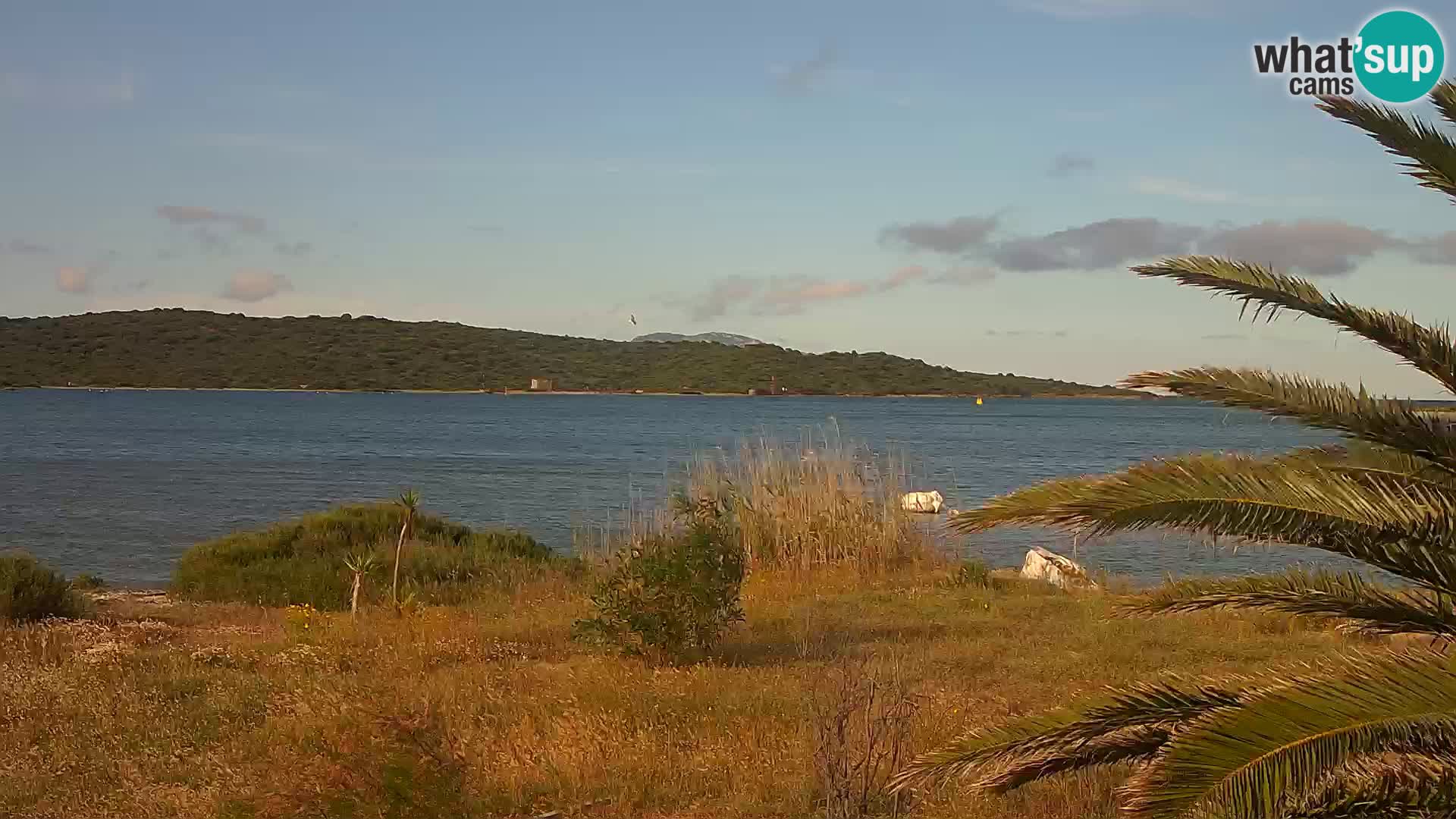 Webcam Olbia port – entrance to the port of Olbia