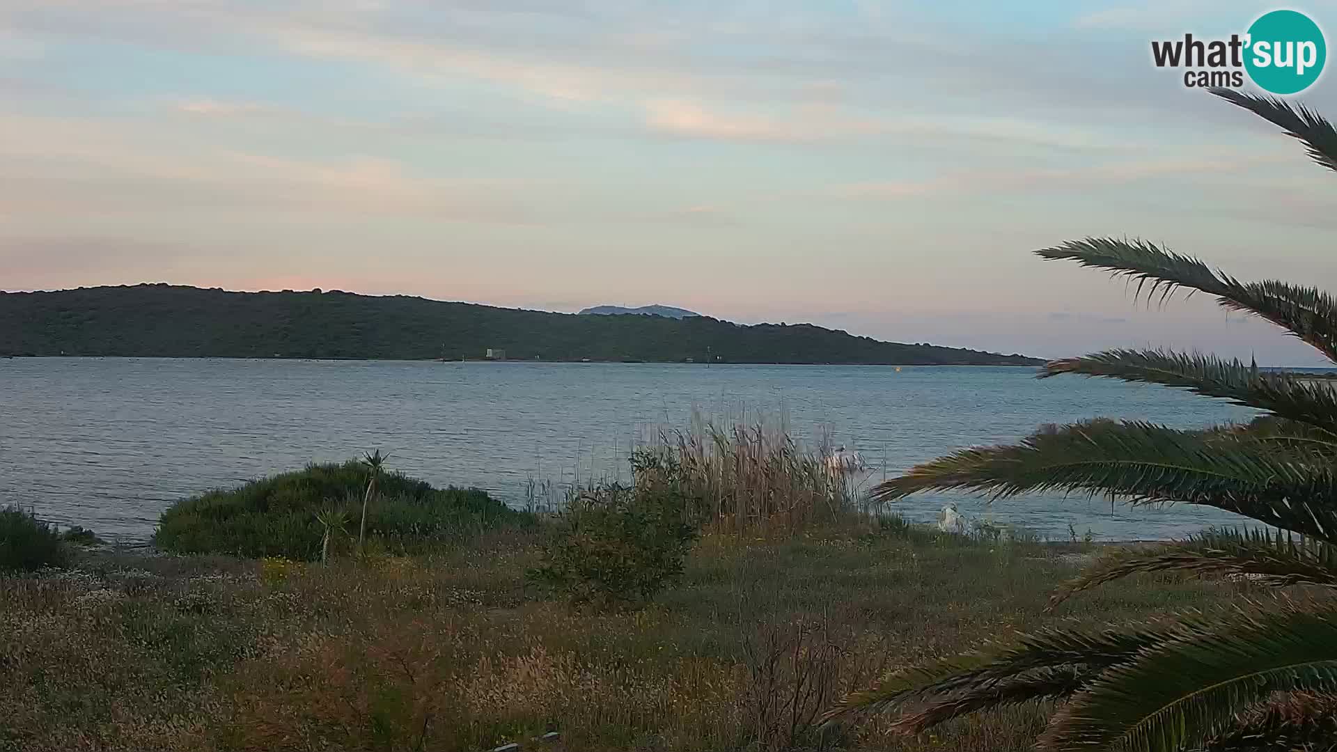Webcam porto di Olbia – entrata nel porto di Olbia