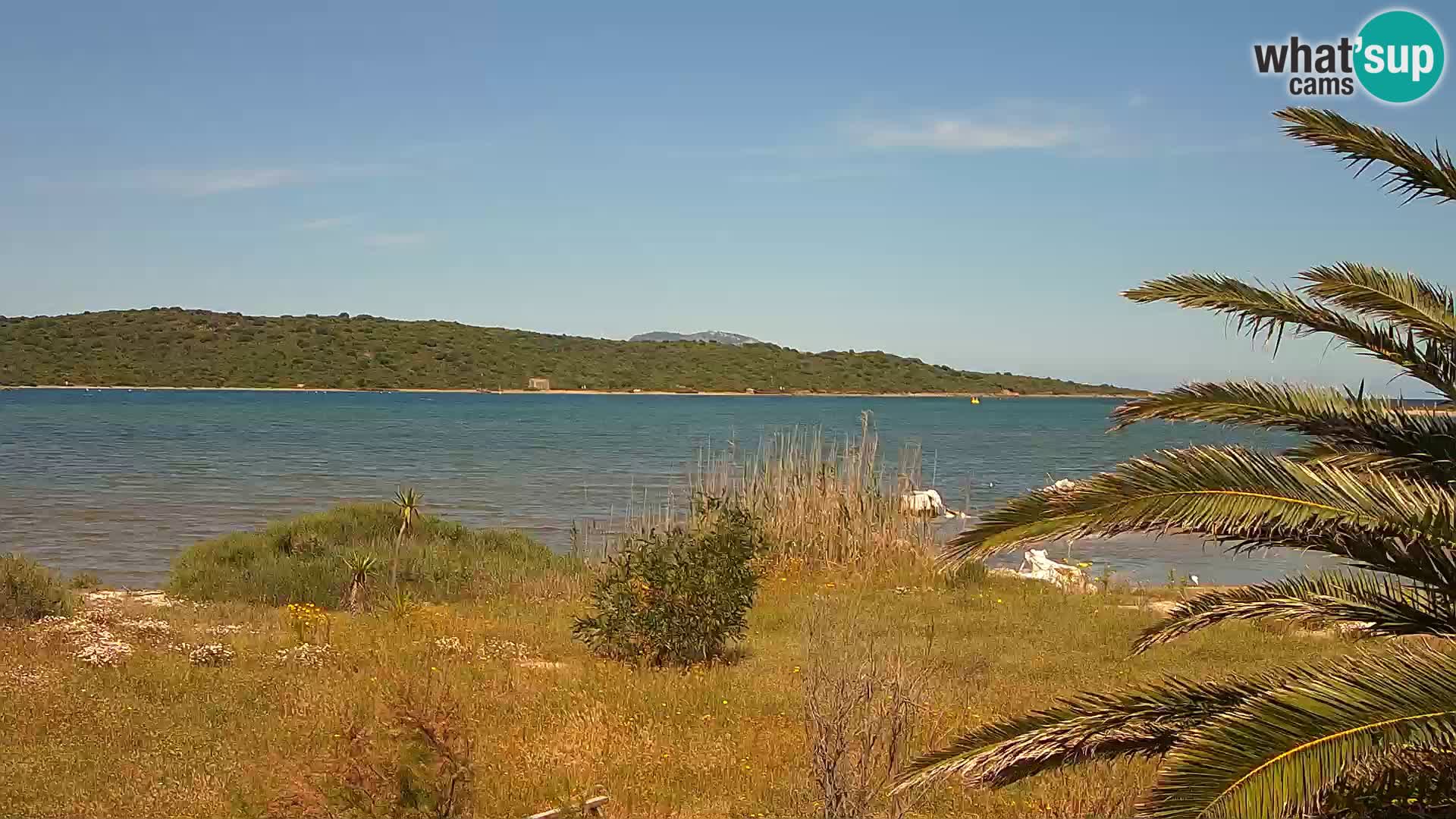 Spletna kamera pristanišče Olbia – vhod v pristanišče Olbia