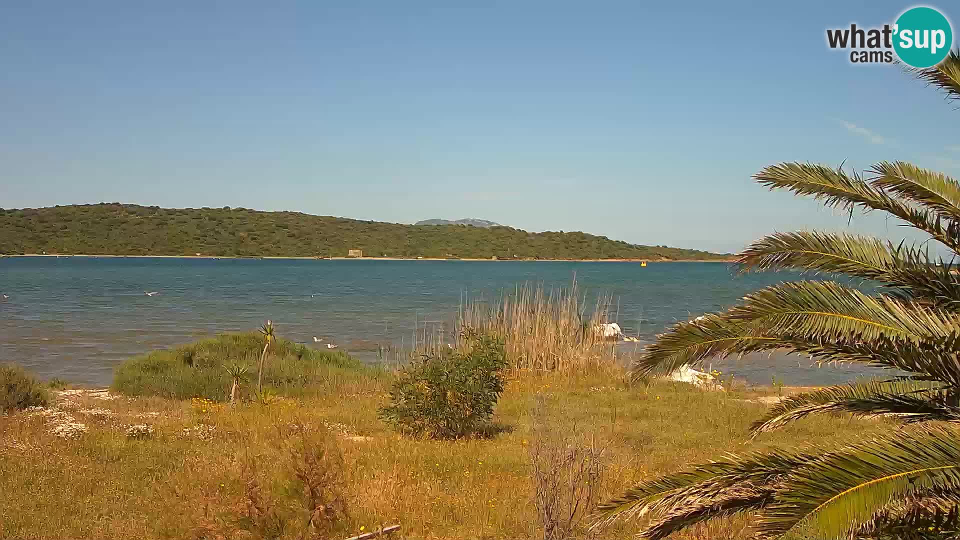 Webcam Olbia port – entrance to the port of Olbia