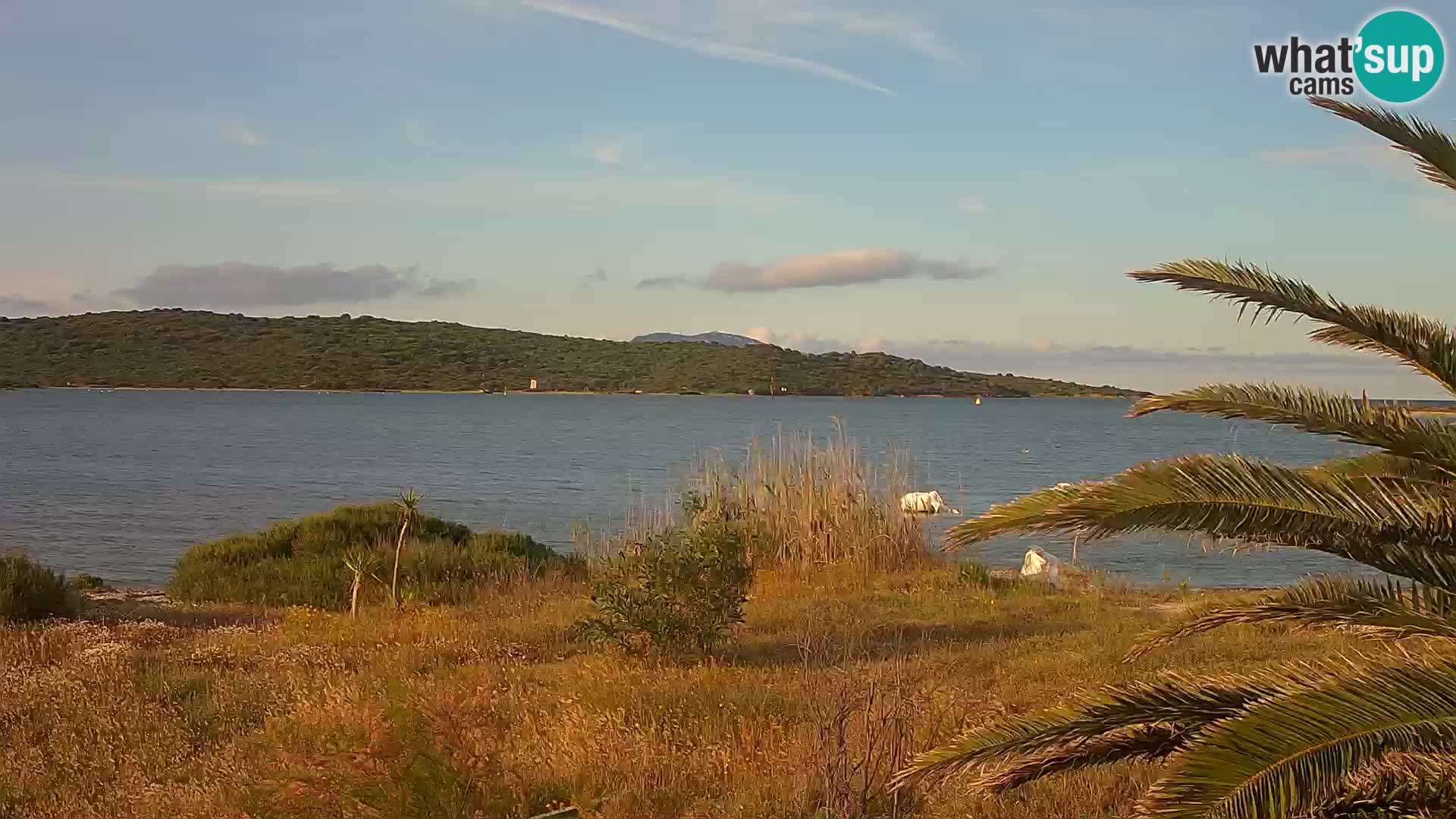Webcam Hafen Olbia – Eingang zum Hafen von Olbia