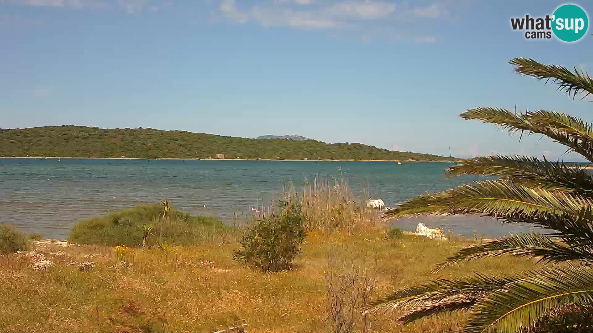 Spletna kamera pristanišče Olbia – vhod v pristanišče Olbia