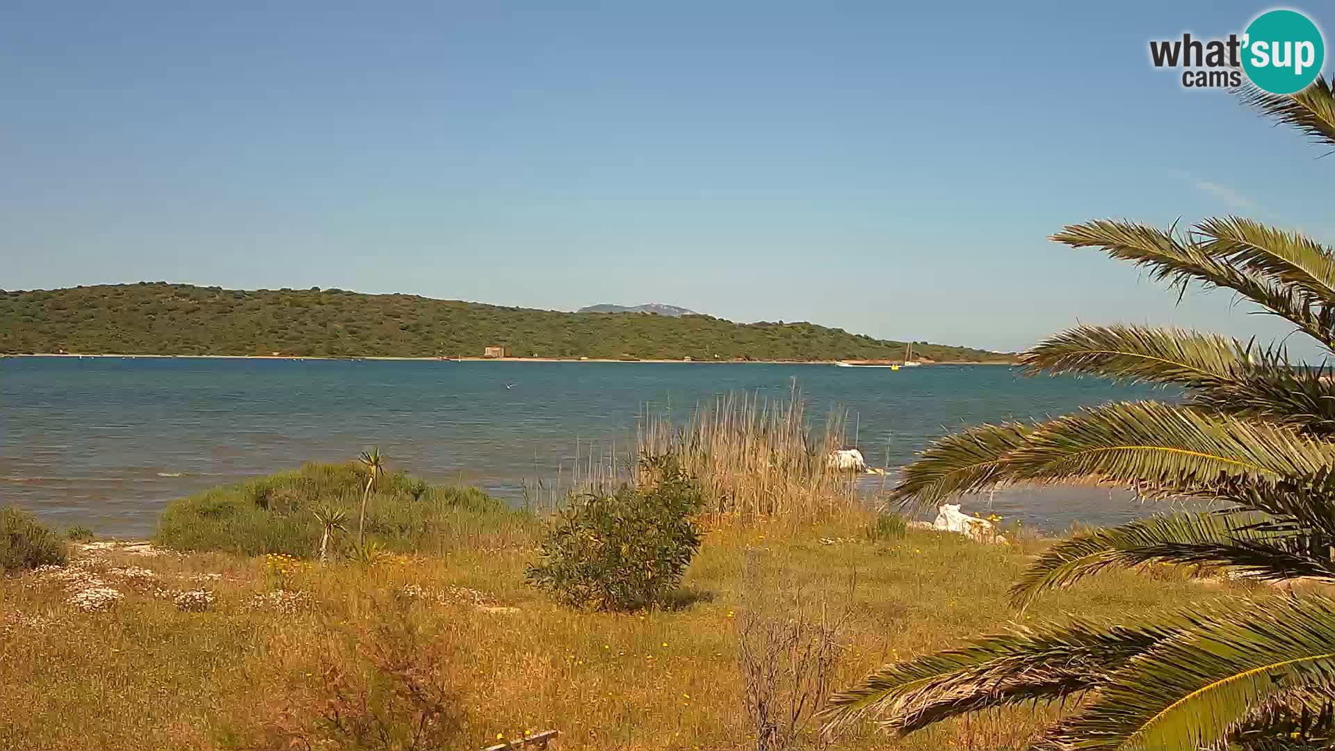 Webcam Hafen Olbia – Eingang zum Hafen von Olbia