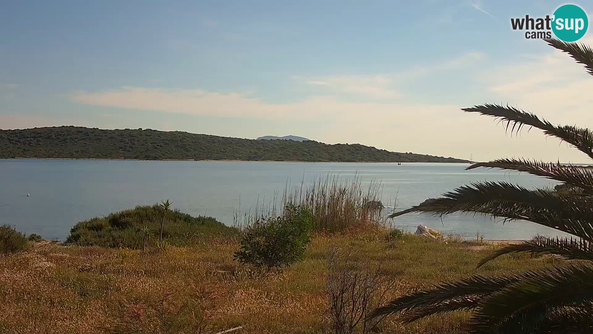 Webcam Hafen Olbia – Eingang zum Hafen von Olbia