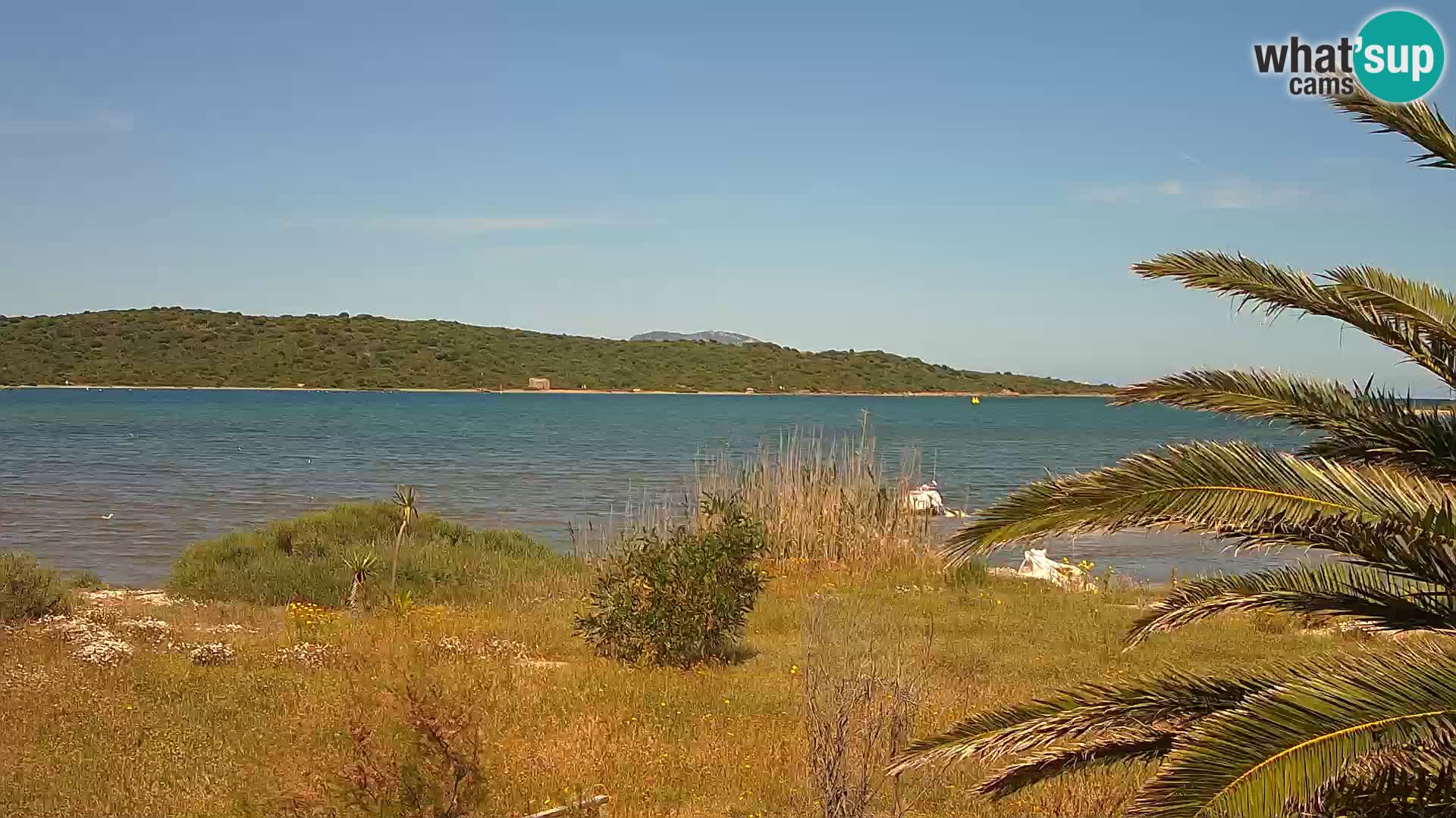Webcam porto di Olbia – entrata nel porto di Olbia