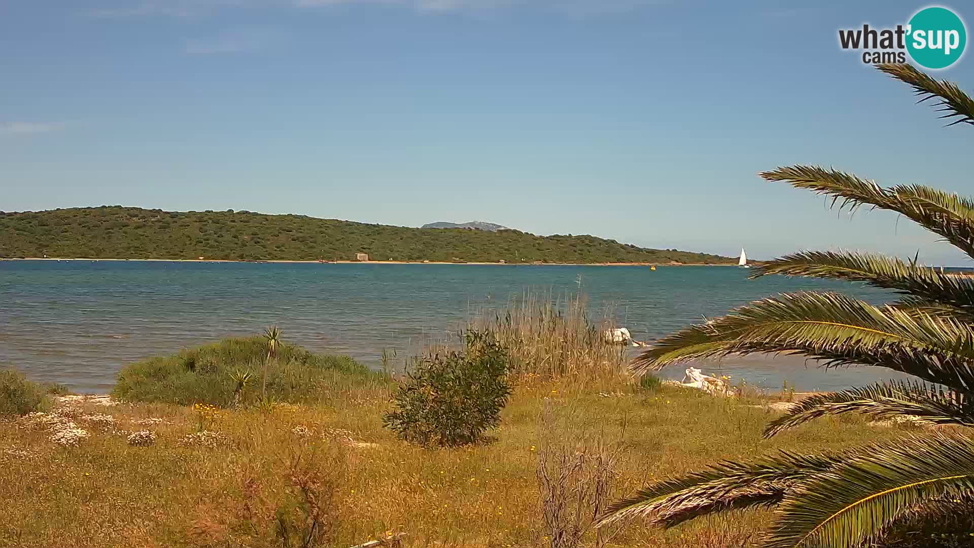 Web kamera Olbia luka – ulaz u luku Olbia