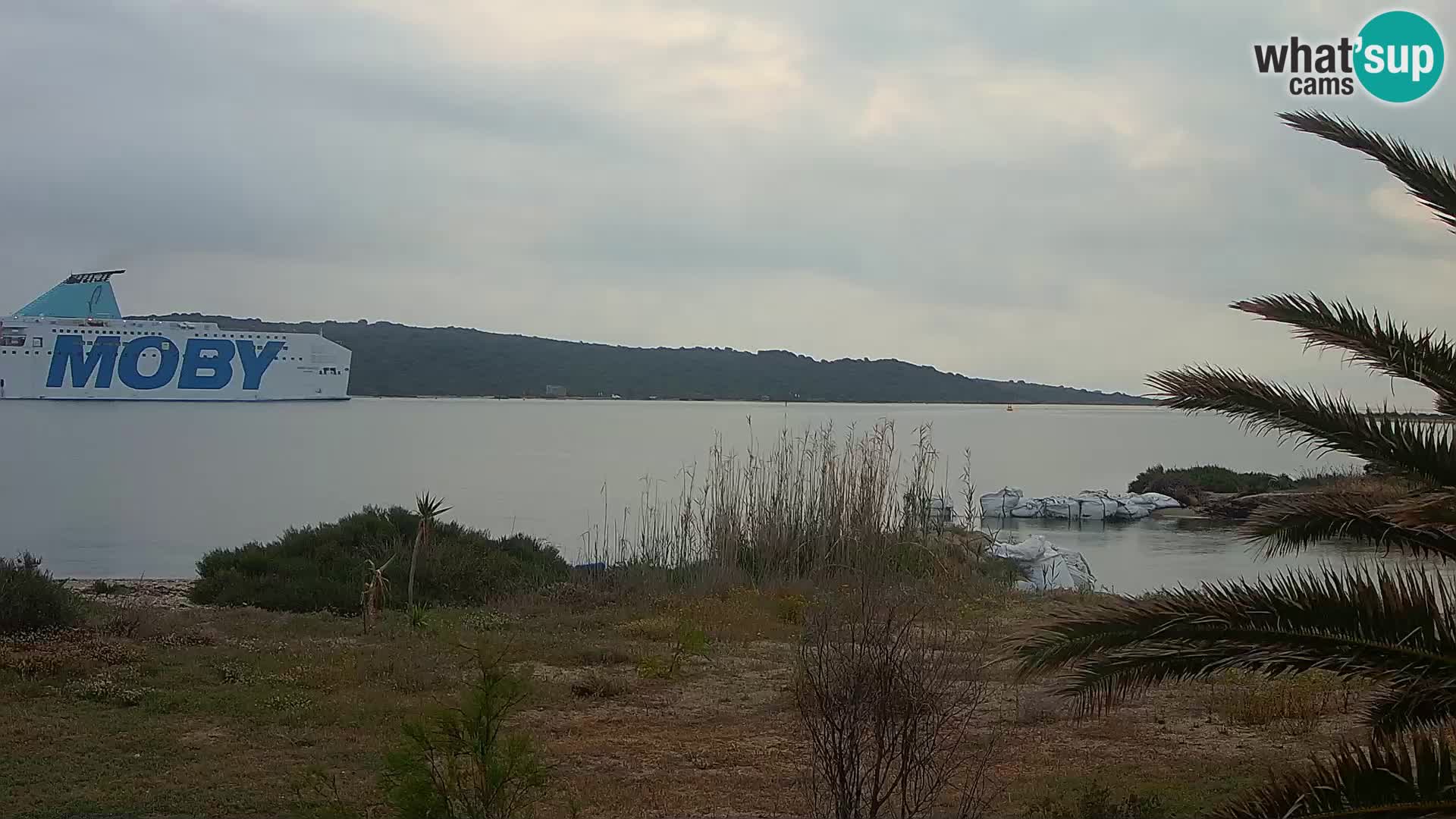 Spletna kamera pristanišče Olbia – vhod v pristanišče Olbia