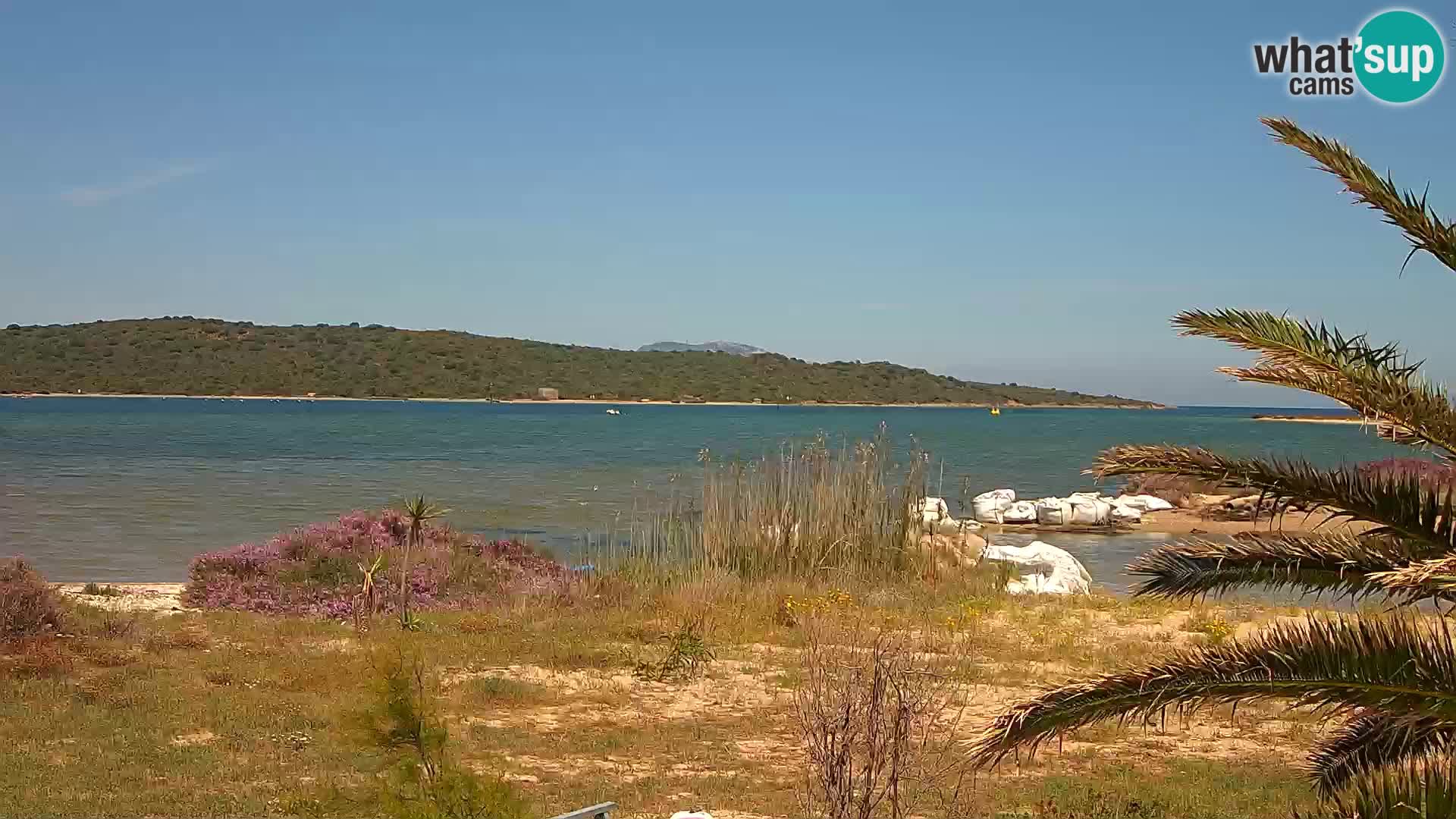 Camera web puerto de Olbia – entrada al puerto de Olbia