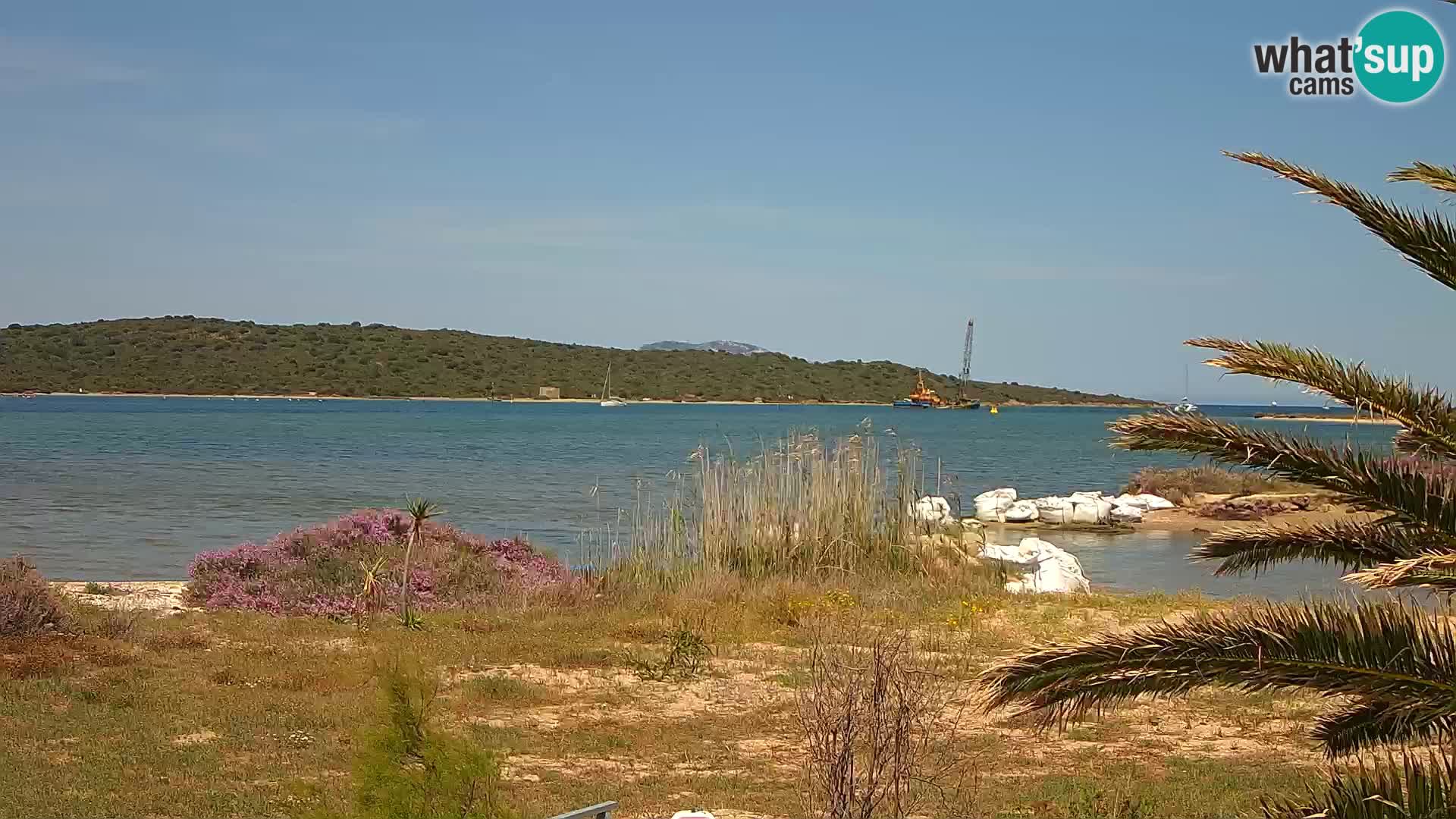 Camera web puerto de Olbia – entrada al puerto de Olbia