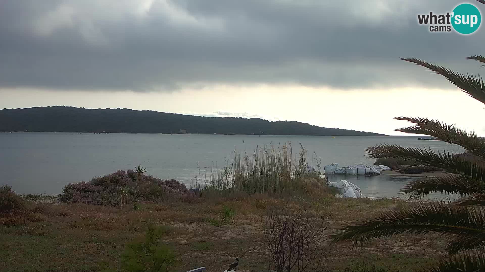 Webcam port d’Olbia – entrée du port d’Olbia